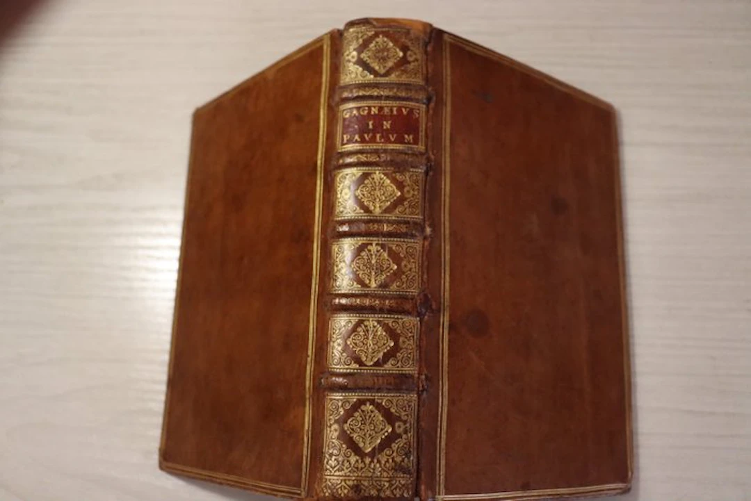 Ioannes Gagnaeus - Brevissima et facillima in omnes D