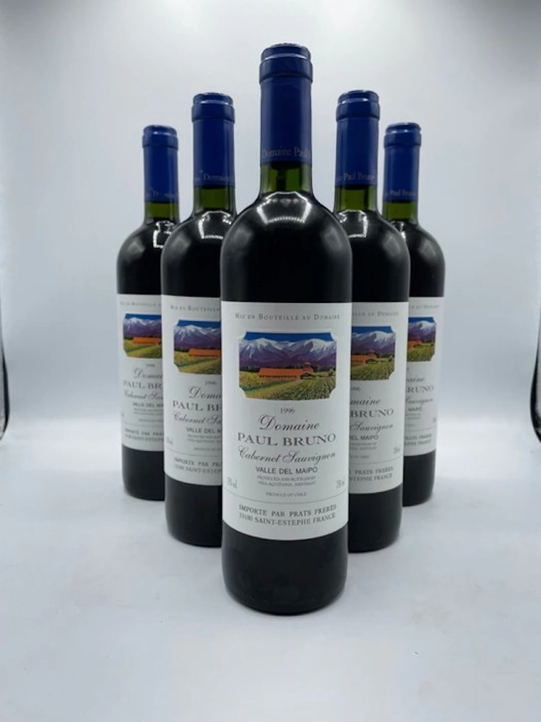 1996 Domaine Paul Bruno, Valle del Maipo - Maipo Valley - 6 Bottles (0.75L)