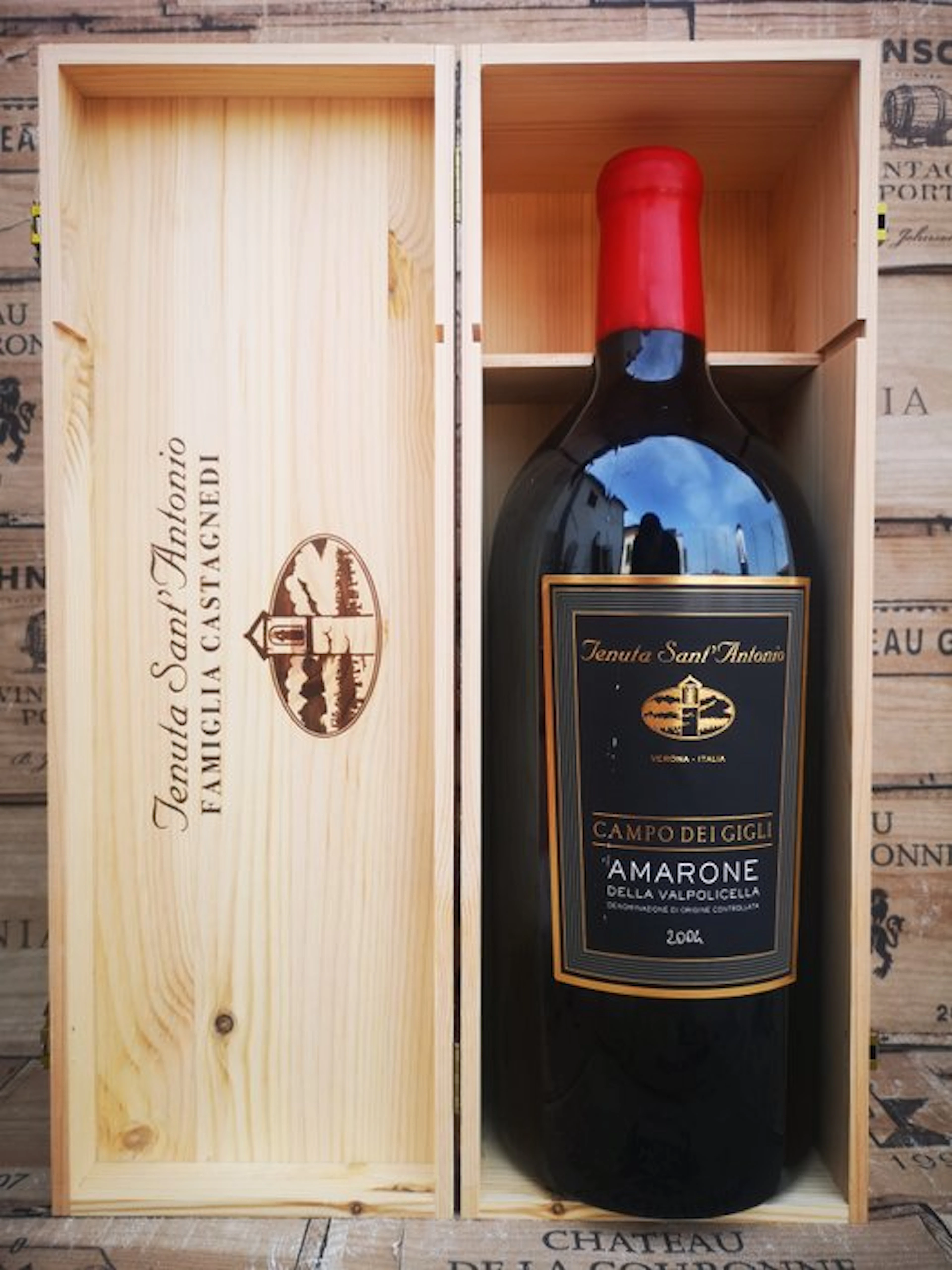 2004 Tenuta Sant'Antonio Campo dei Gigli - Amarone della...