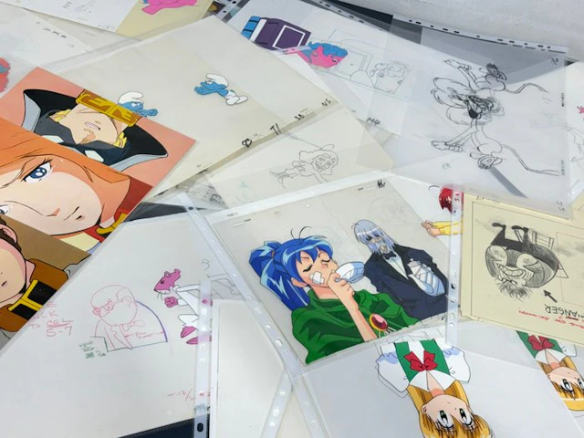 Anime and International Animation Lot of more than 100...