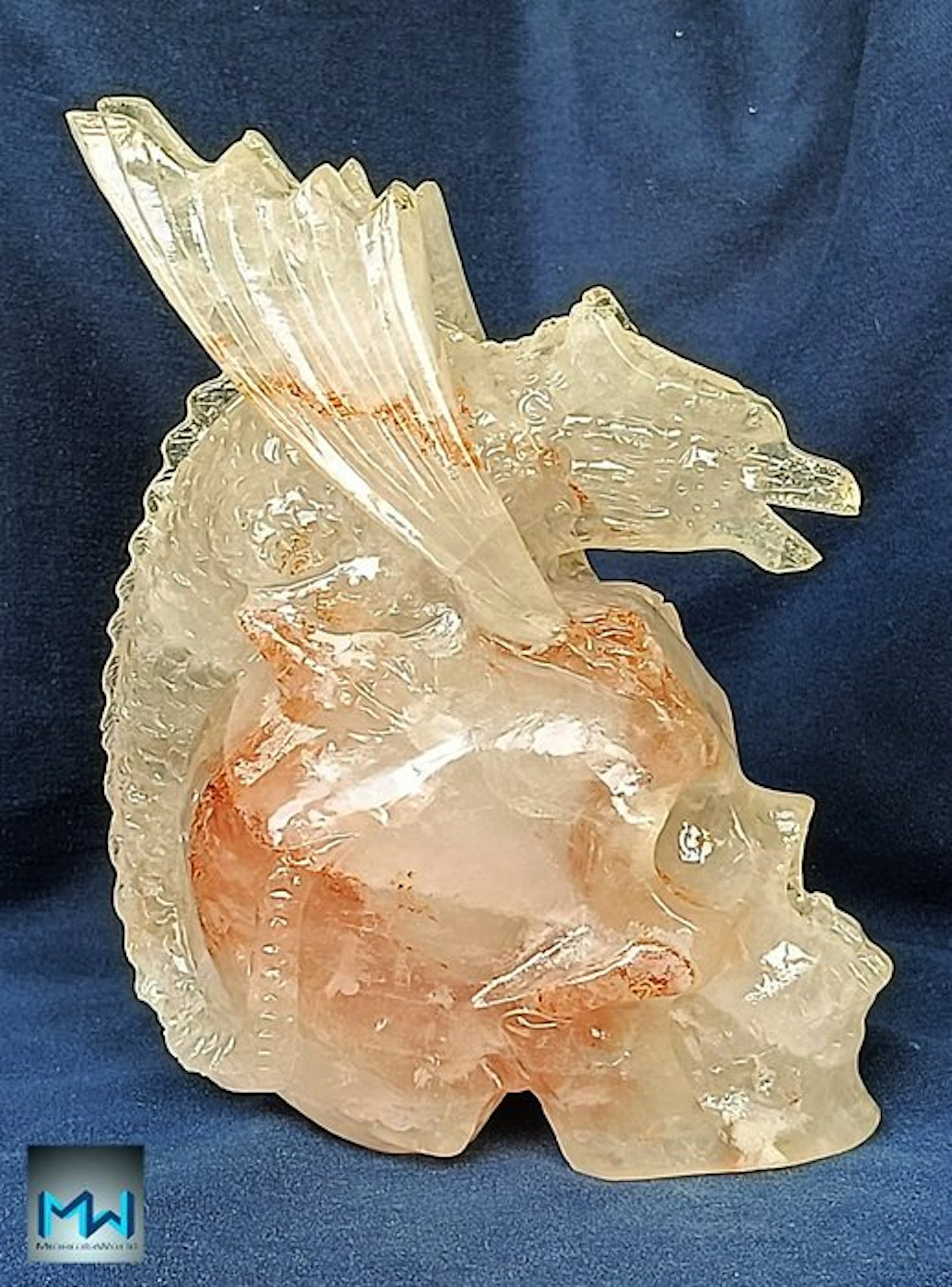 Dragon over a human skull