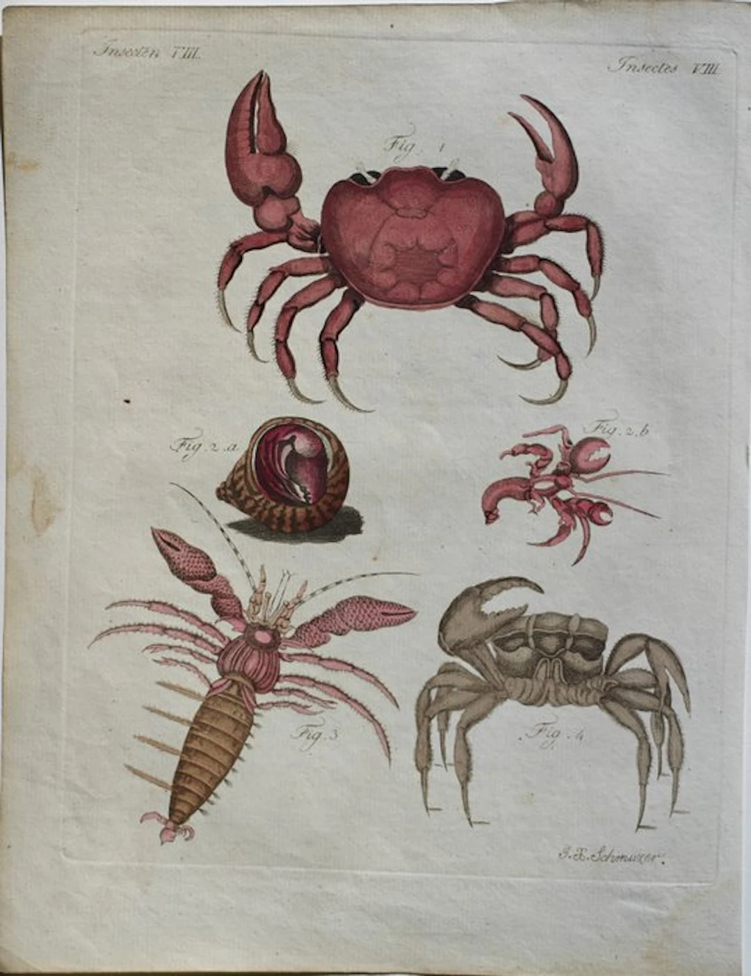 Johann Jakob Schmuzer (attivo tra la fine del XVIII e...