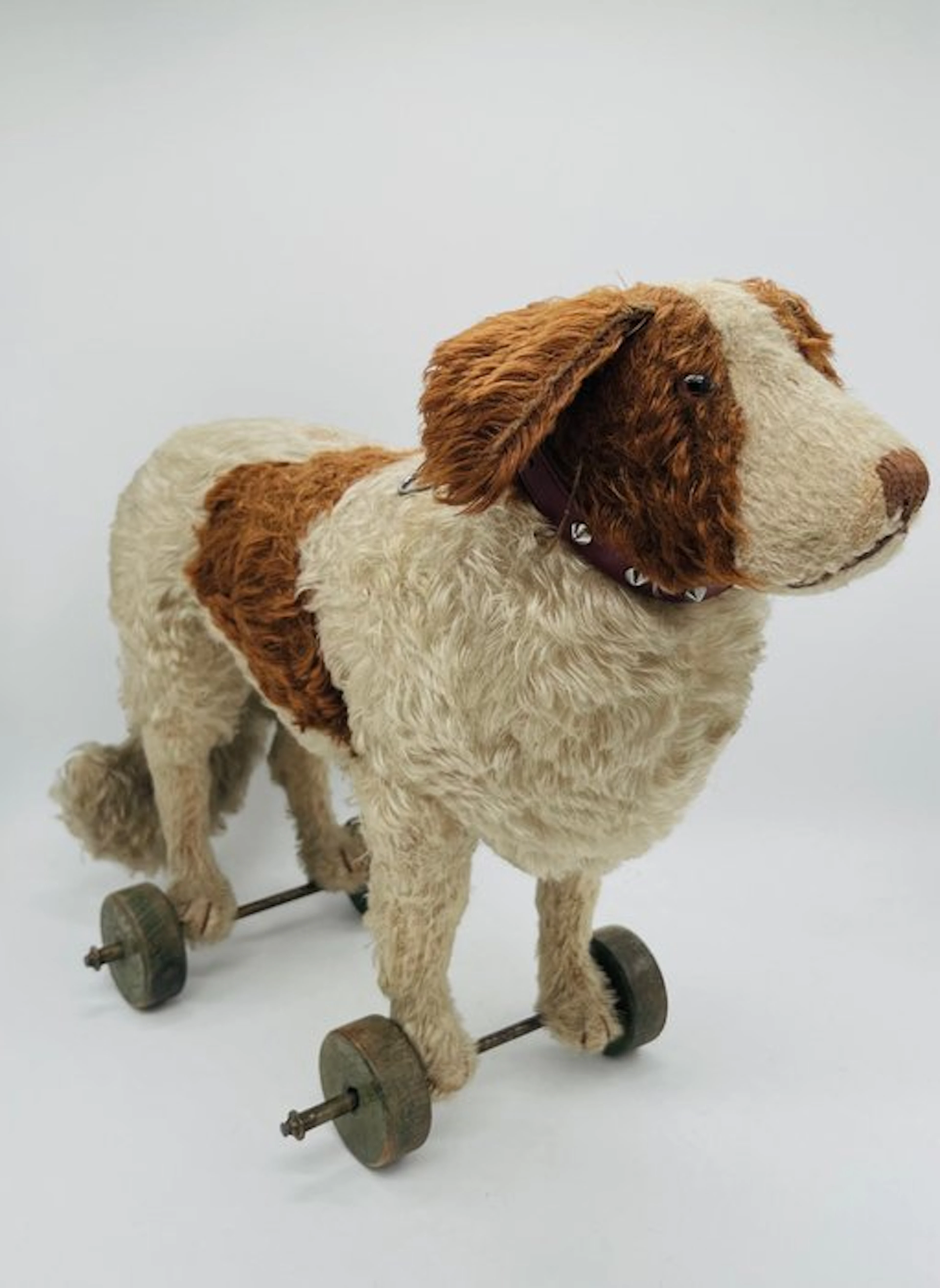 Steiff - Teddy bear St. Bernard pull dog with sound - 1920-1930 - Germany