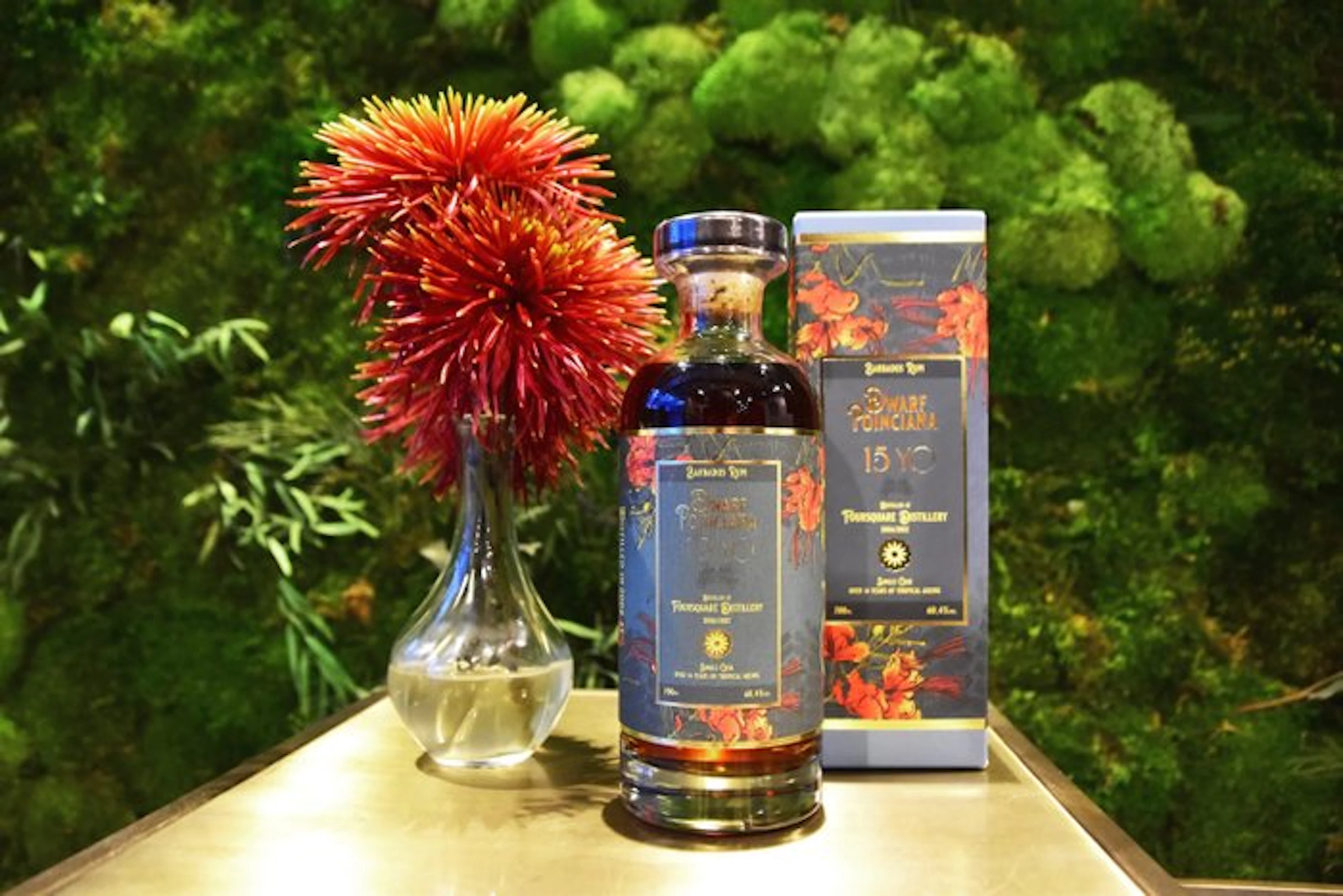 Foursquare 2006 15 years old Distilia - Dwarf Poinciana...
