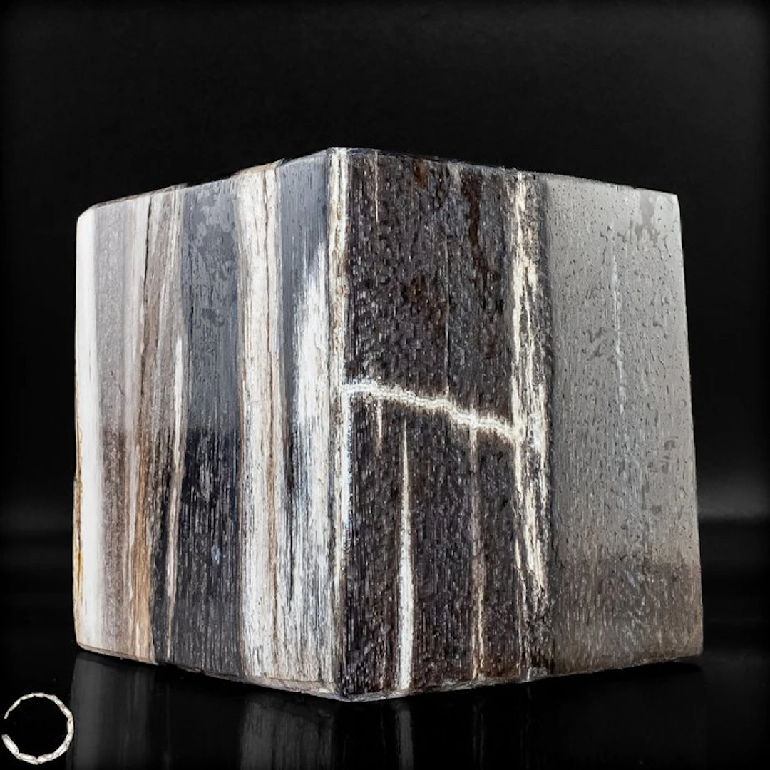 Petrified Wood Cubes – Natural Art from Millions of Years...