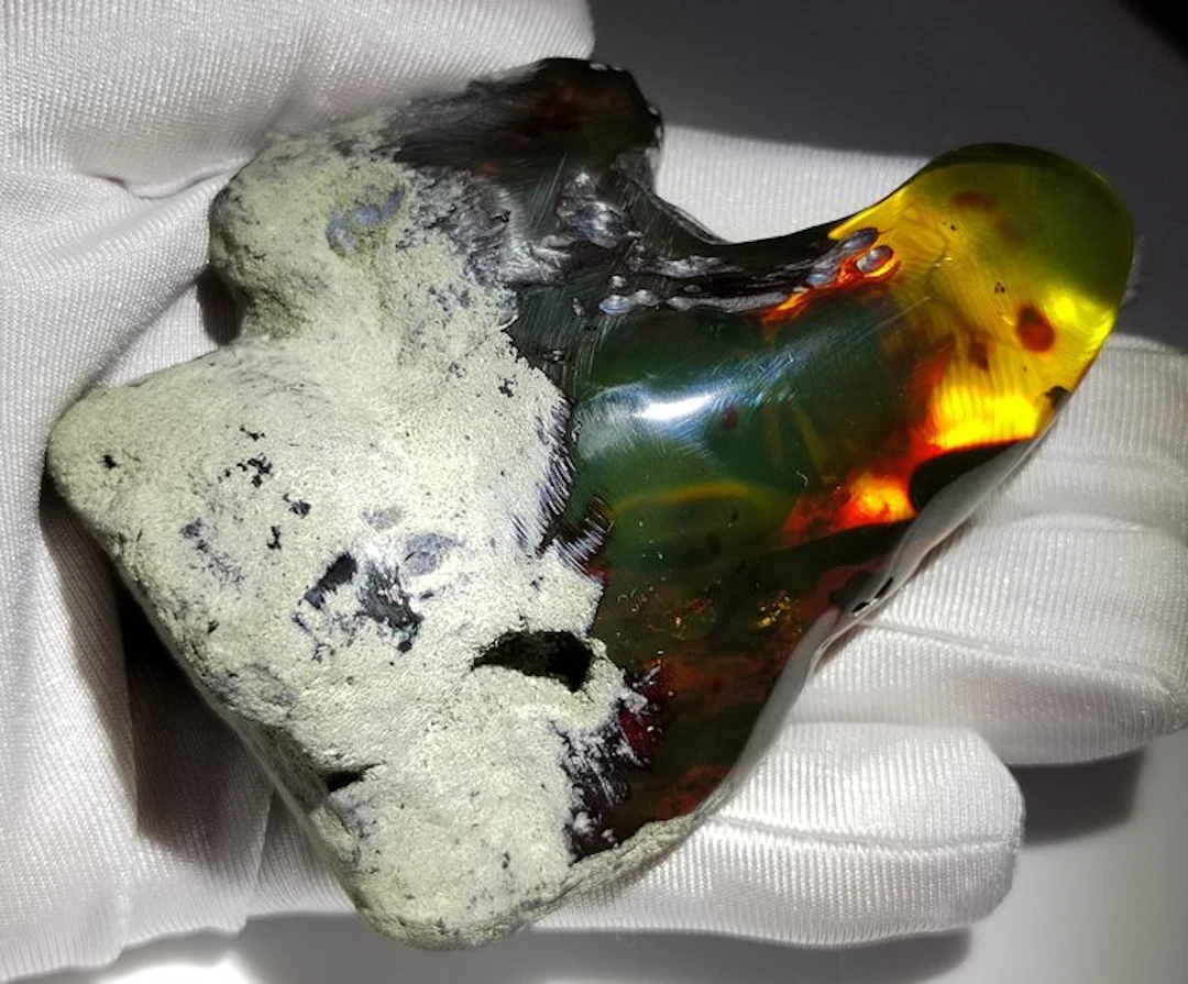 Mexican Amber Fossil Chiapas!! AAA- 80 g