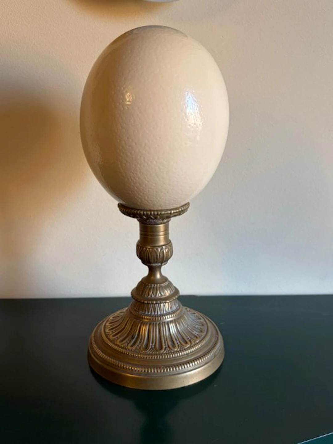 Ostrich Egg - struthio camelus - 28 cm - 14 cm - 14 cm- Non-CITES species - (1)