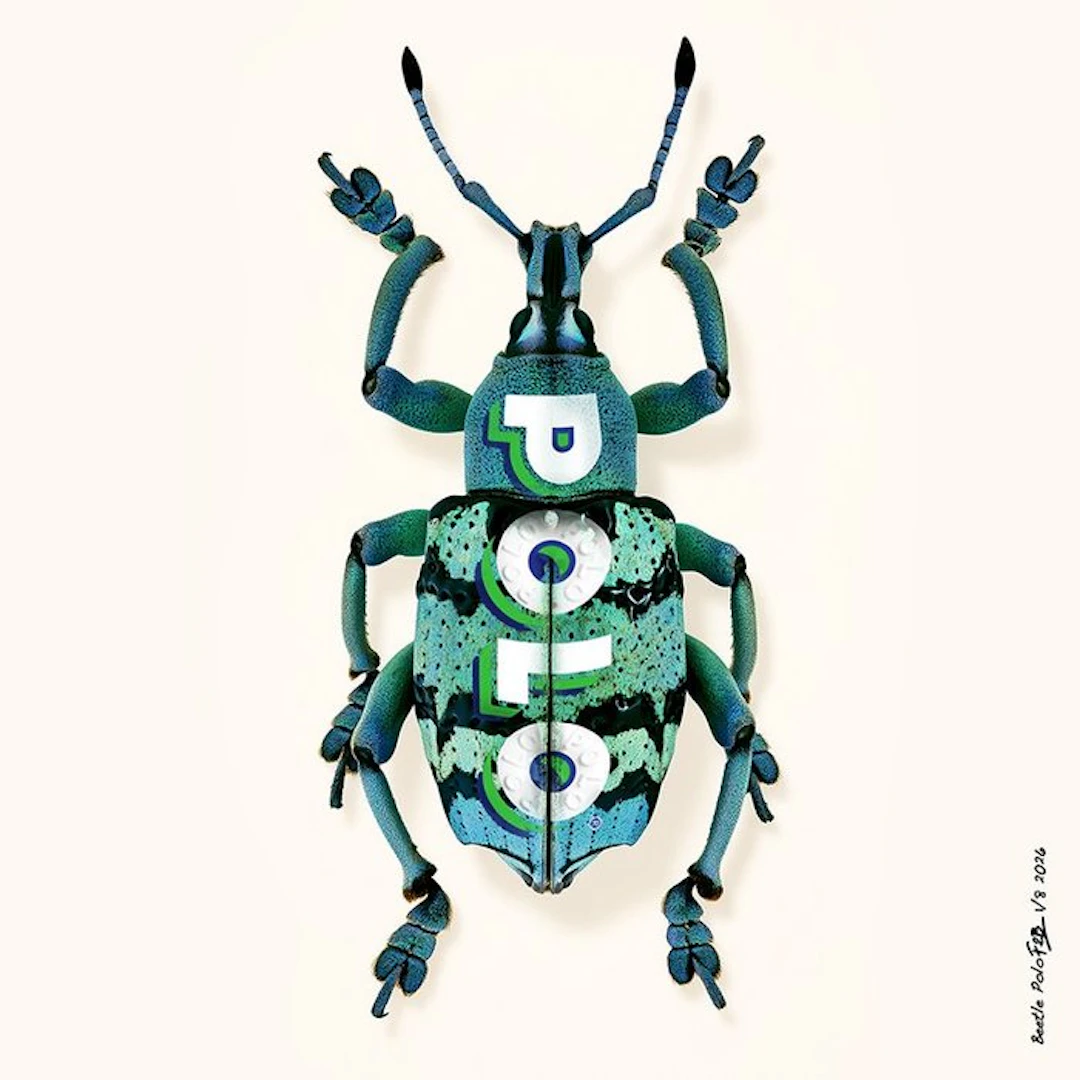 F2B - Beetle Polo 1I8