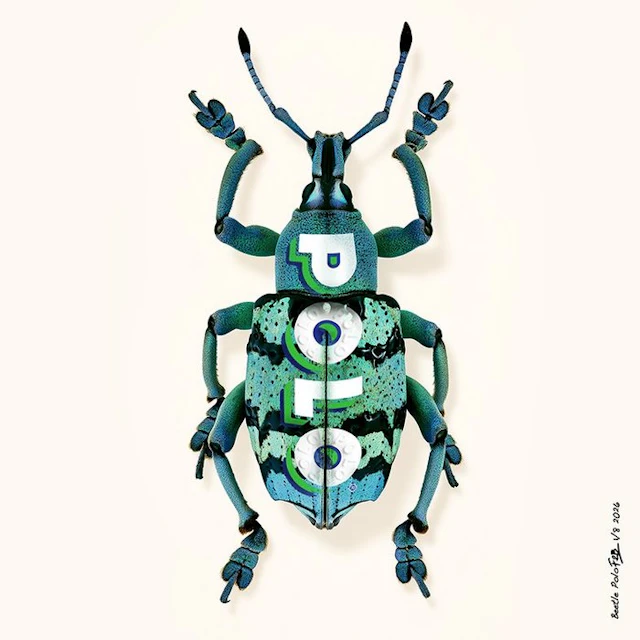 F2B - Beetle Polo 1I8