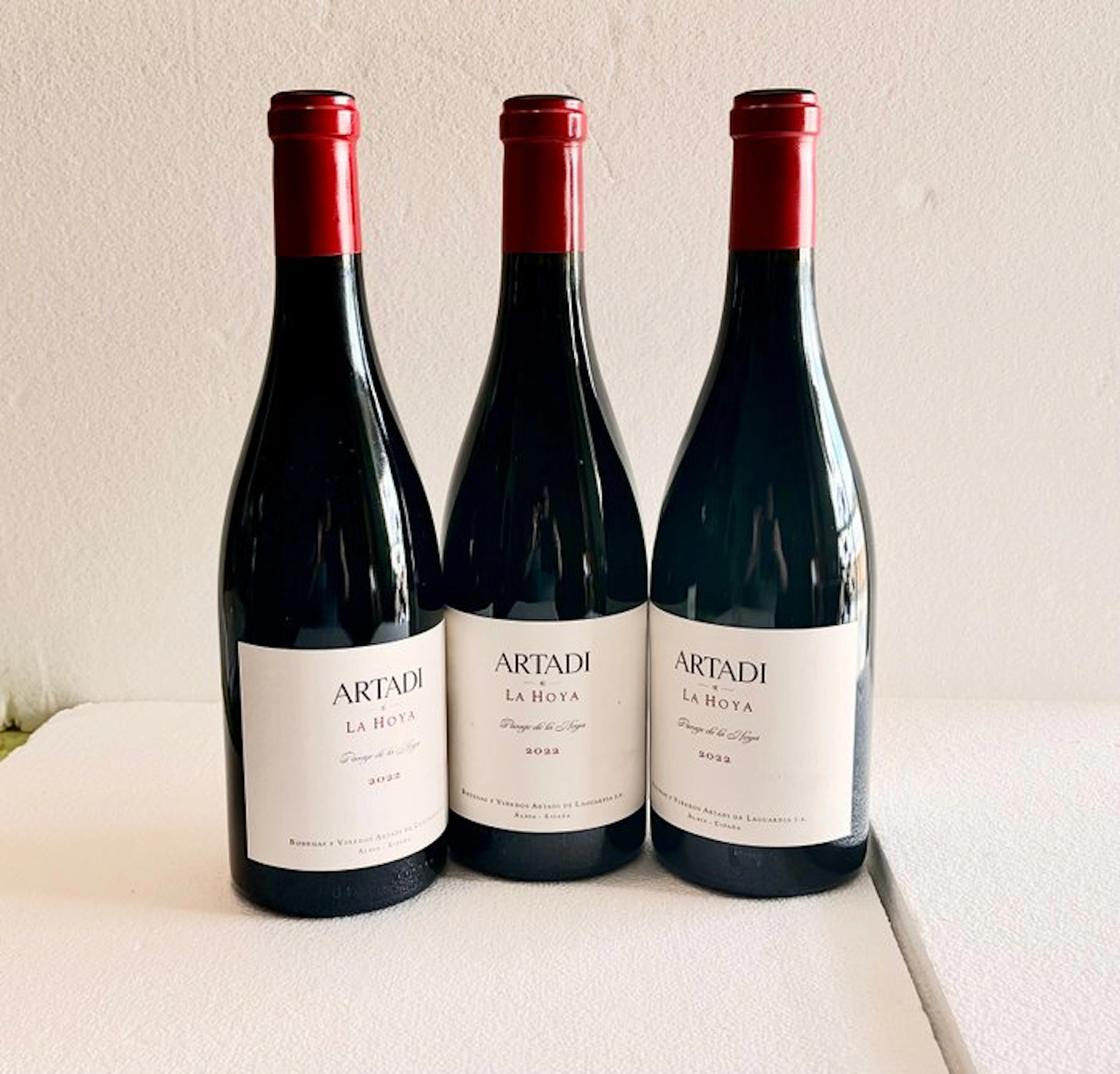 2022 Artadi, La Hoya - Álava - 3 Bottles (0.75L)