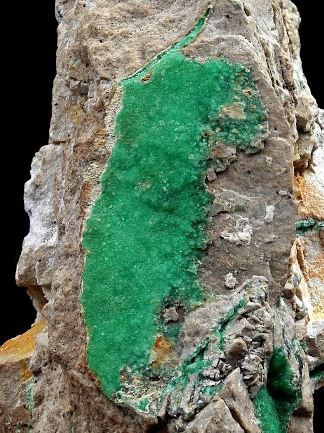 RARE EMERALD-GREEN VARISCITE