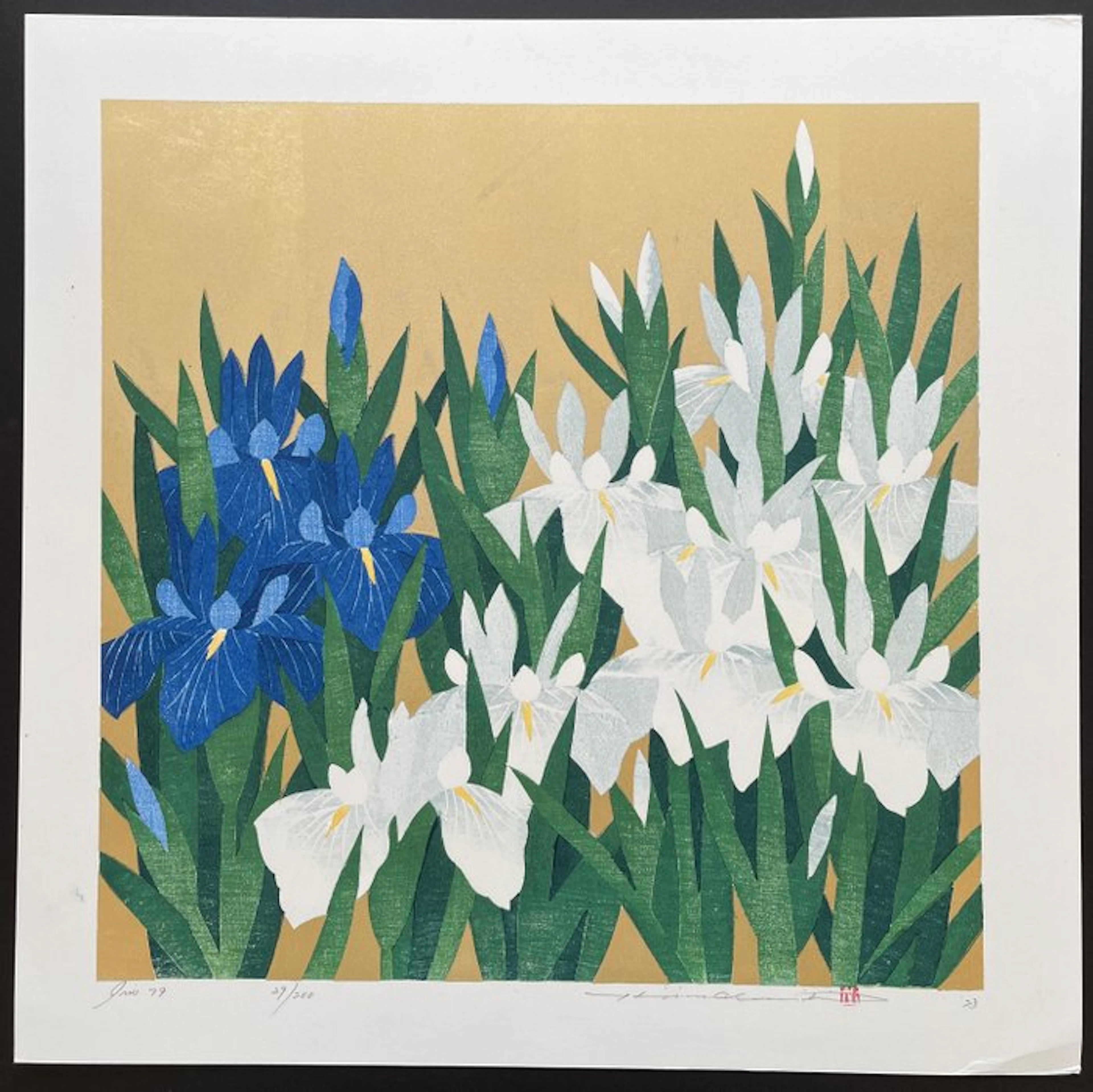 Iris 79 - Hajime Namiki 並木一 (b 1947) - Japan (No reserve price)
