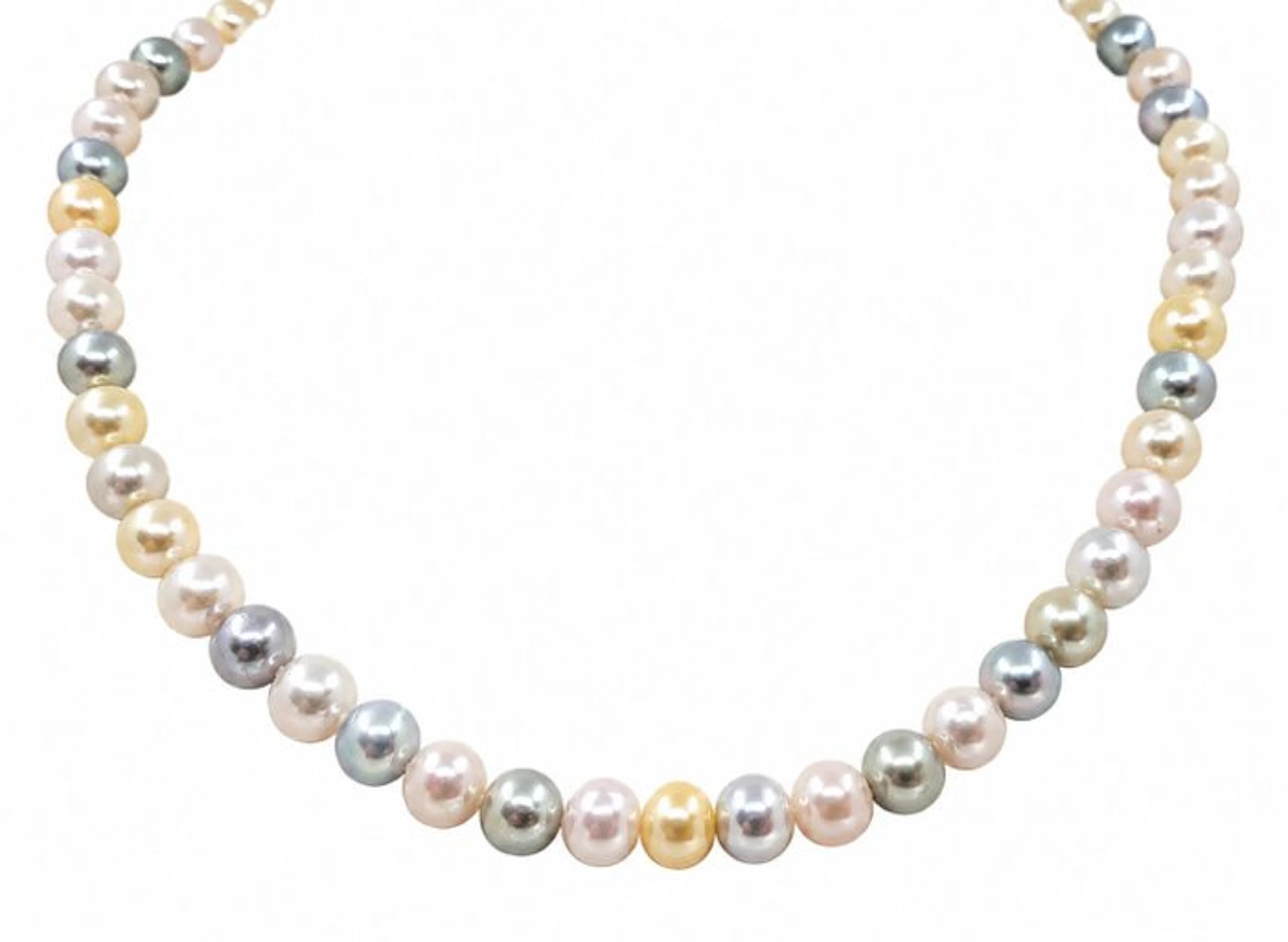 Necklace 7x7.5mm Multi Golden and Silver Akoya Pearls