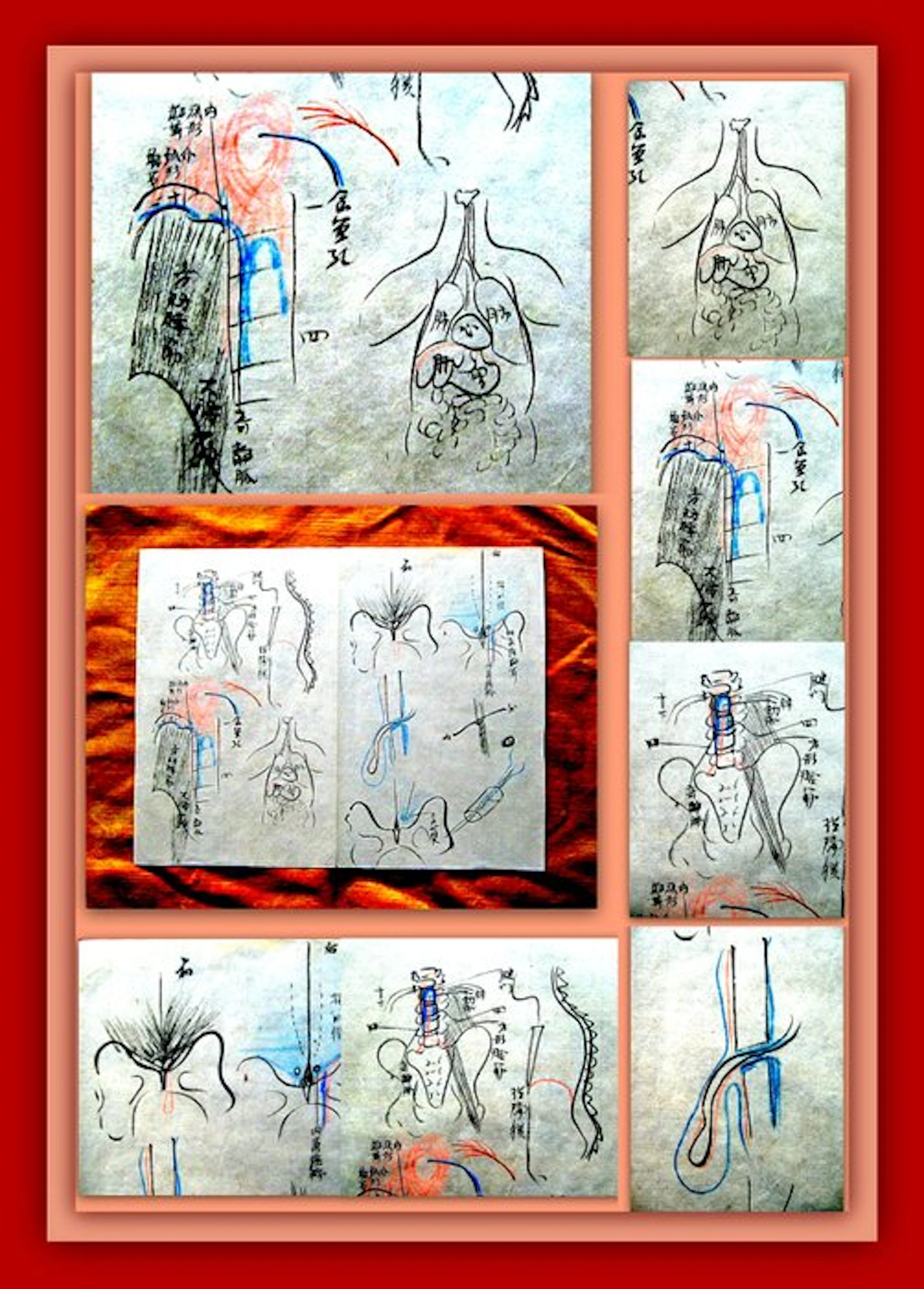 Kajiwara Shōzen 梶原 性全 - Medicine Manuscript