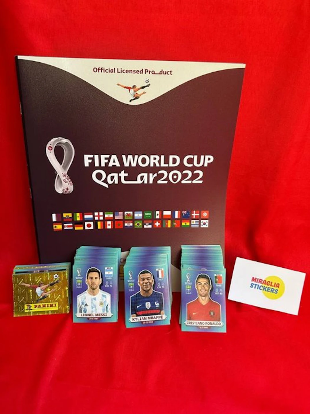 Qatar 2022 Panini Empty album + complete loose sticker set - Excellent (EX)
