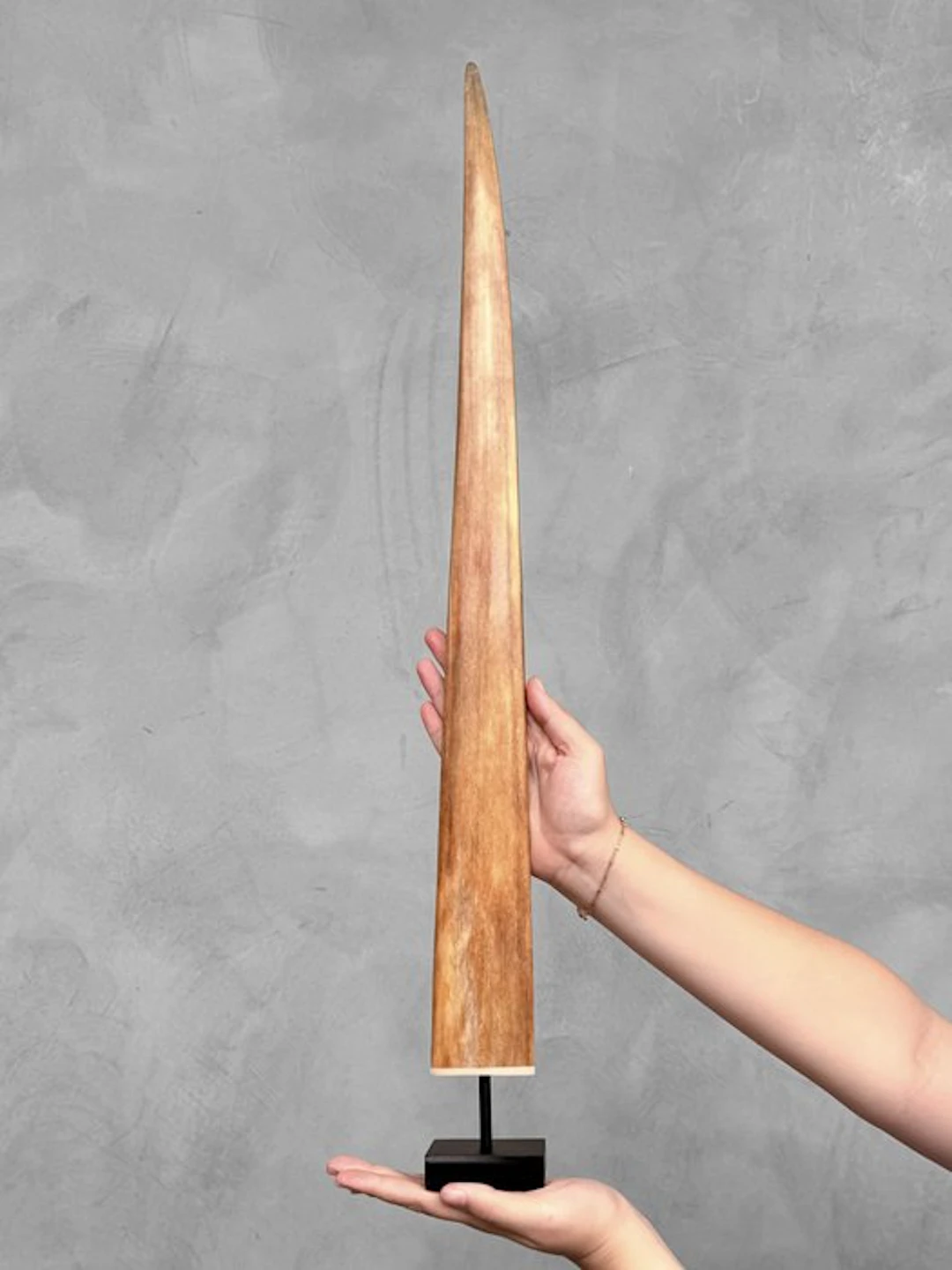 NO RESERVE PRICE - Stunning Swordfish Tusk mounted on a...