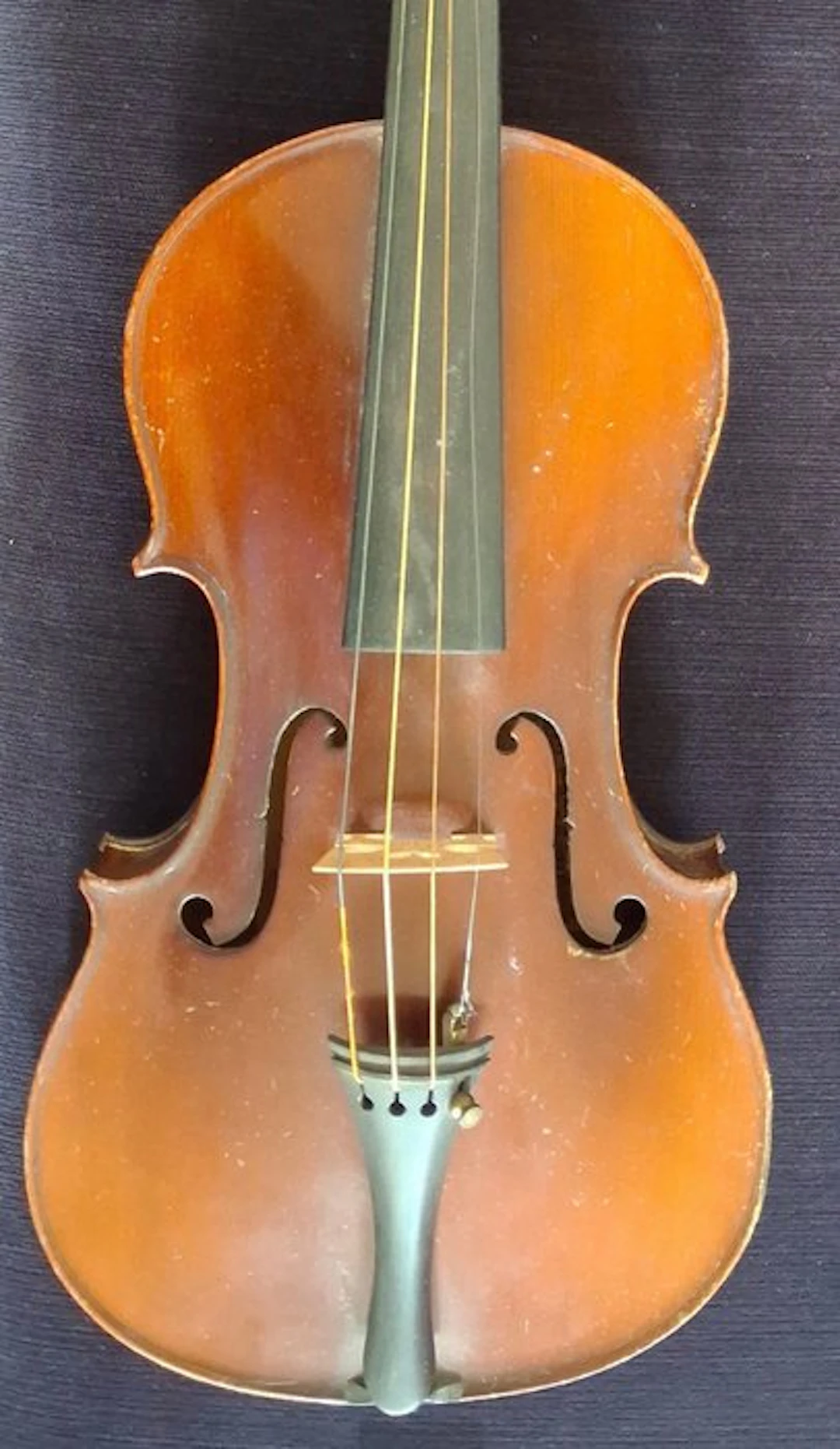 Labelled Nicolaus Amatus - - Violin - Unknown (No reserve price)