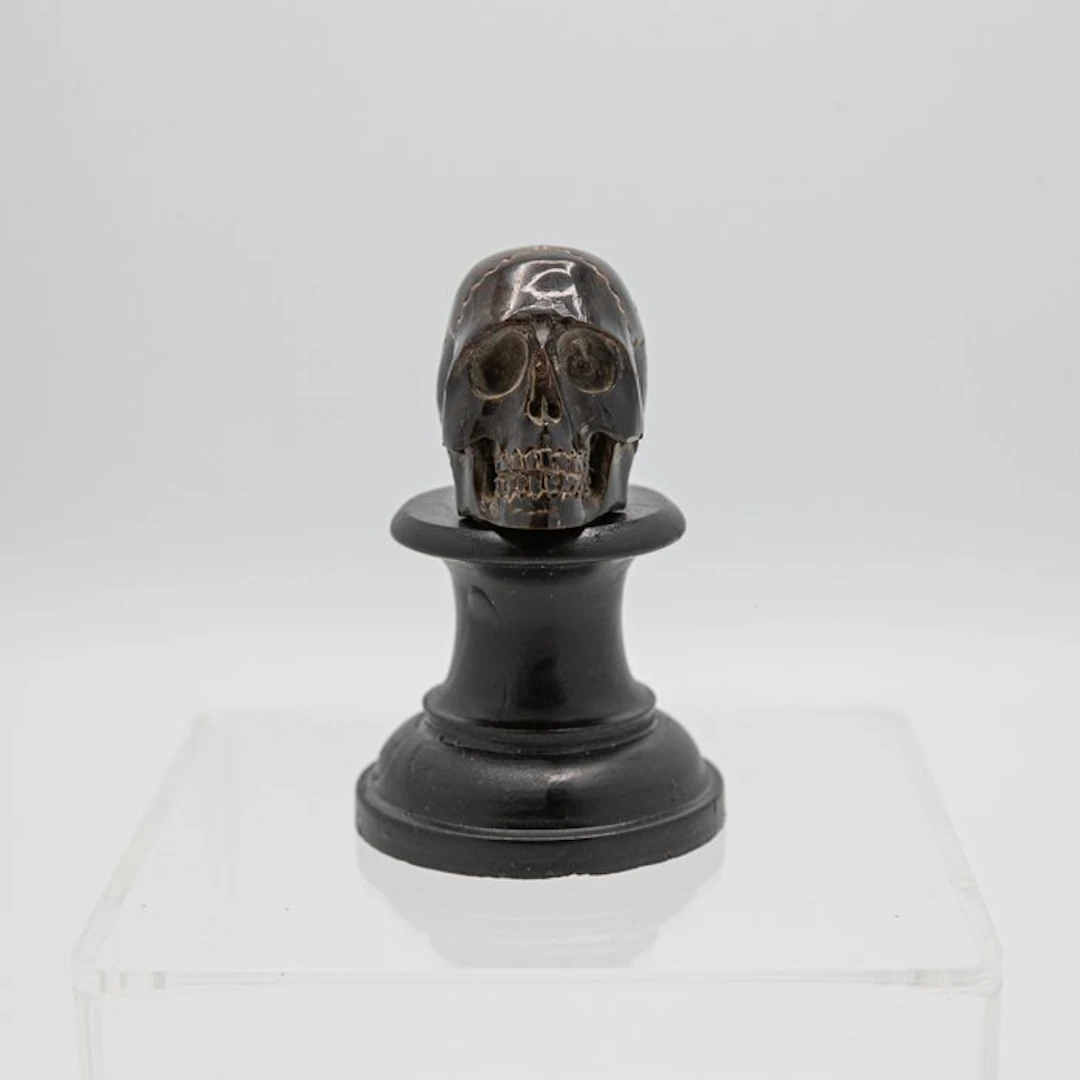 Memento mori, steenbok horn - Horn - 19th century