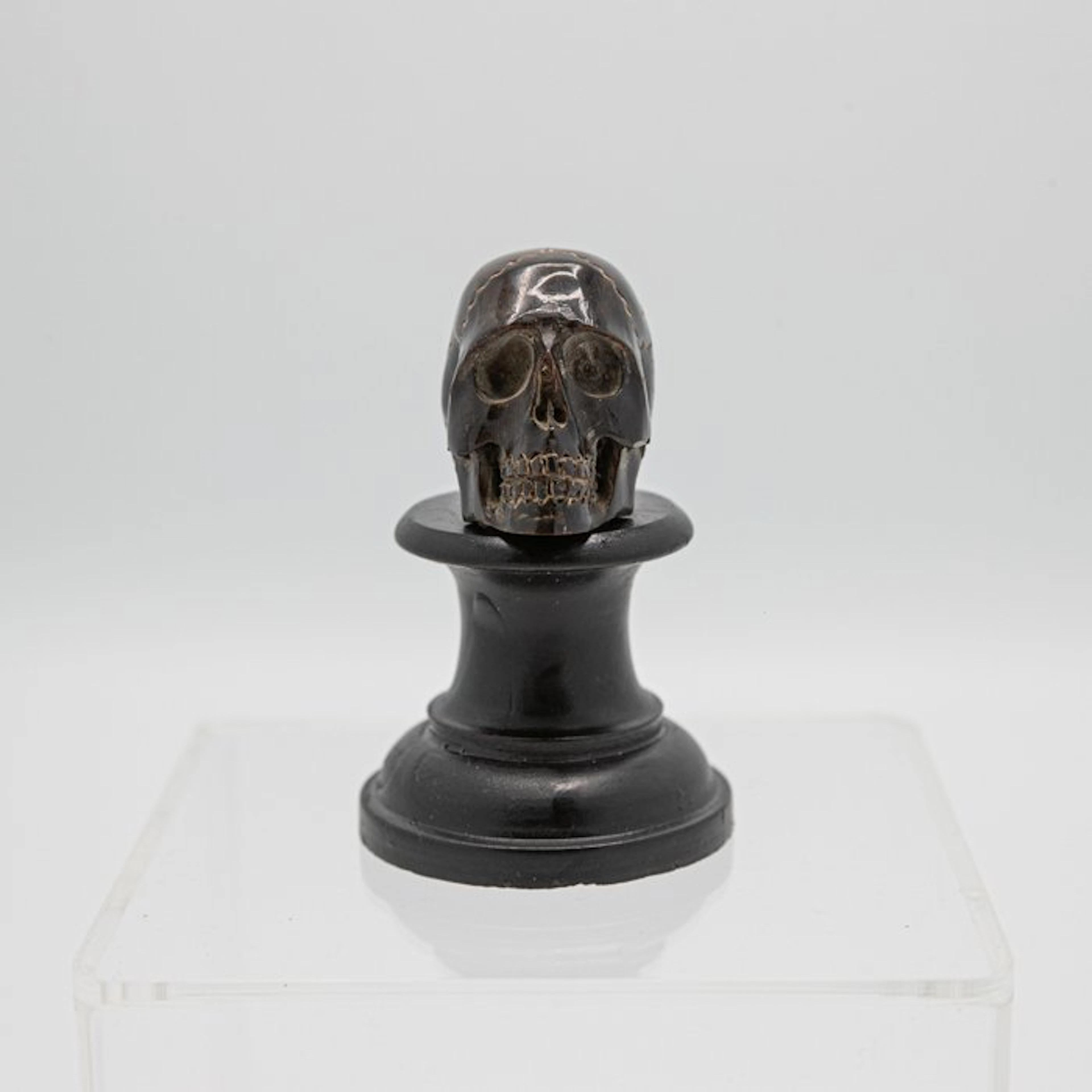 Memento mori, steenbok horn - Horn - 19th century