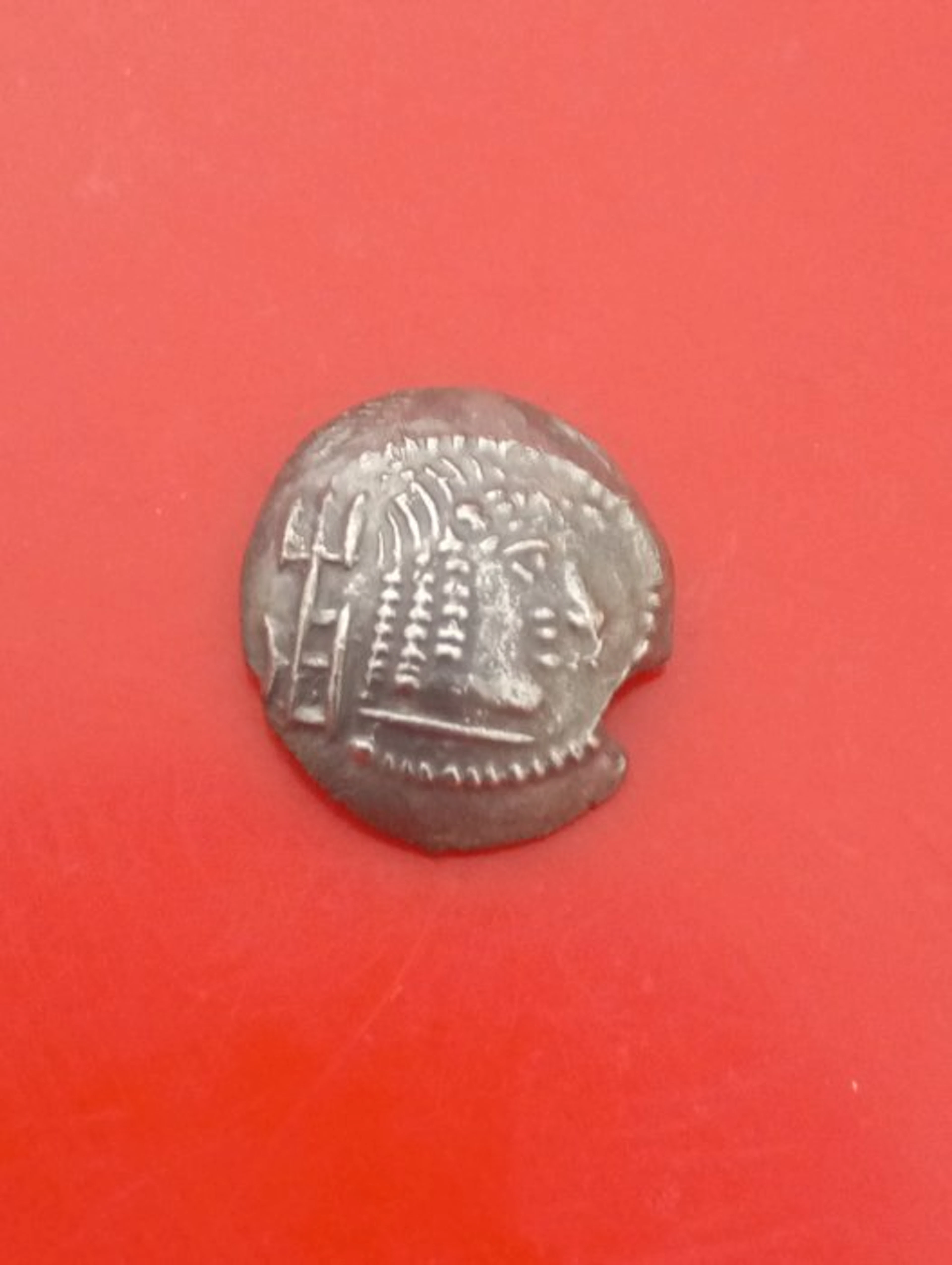 Arabia, Himyarites Quinarius Scyphate (No reserve price)