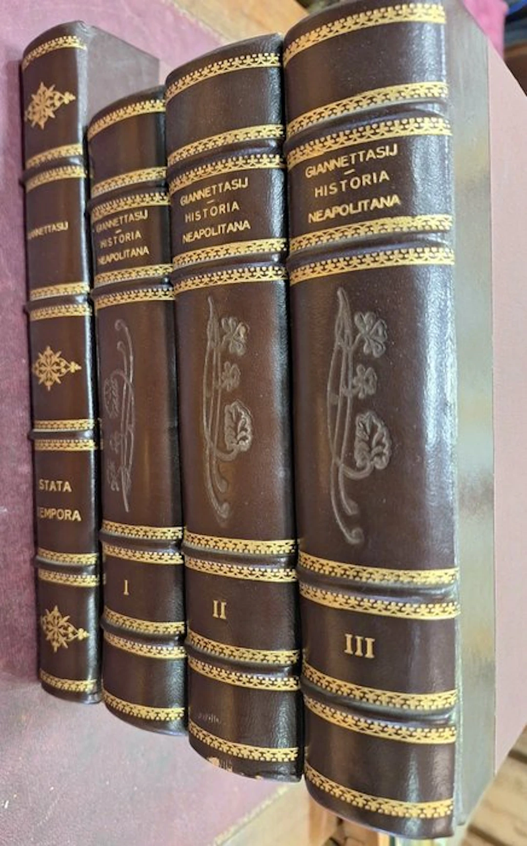 Nicola Parthenius Giannettasi - Historia Neapolitana in...