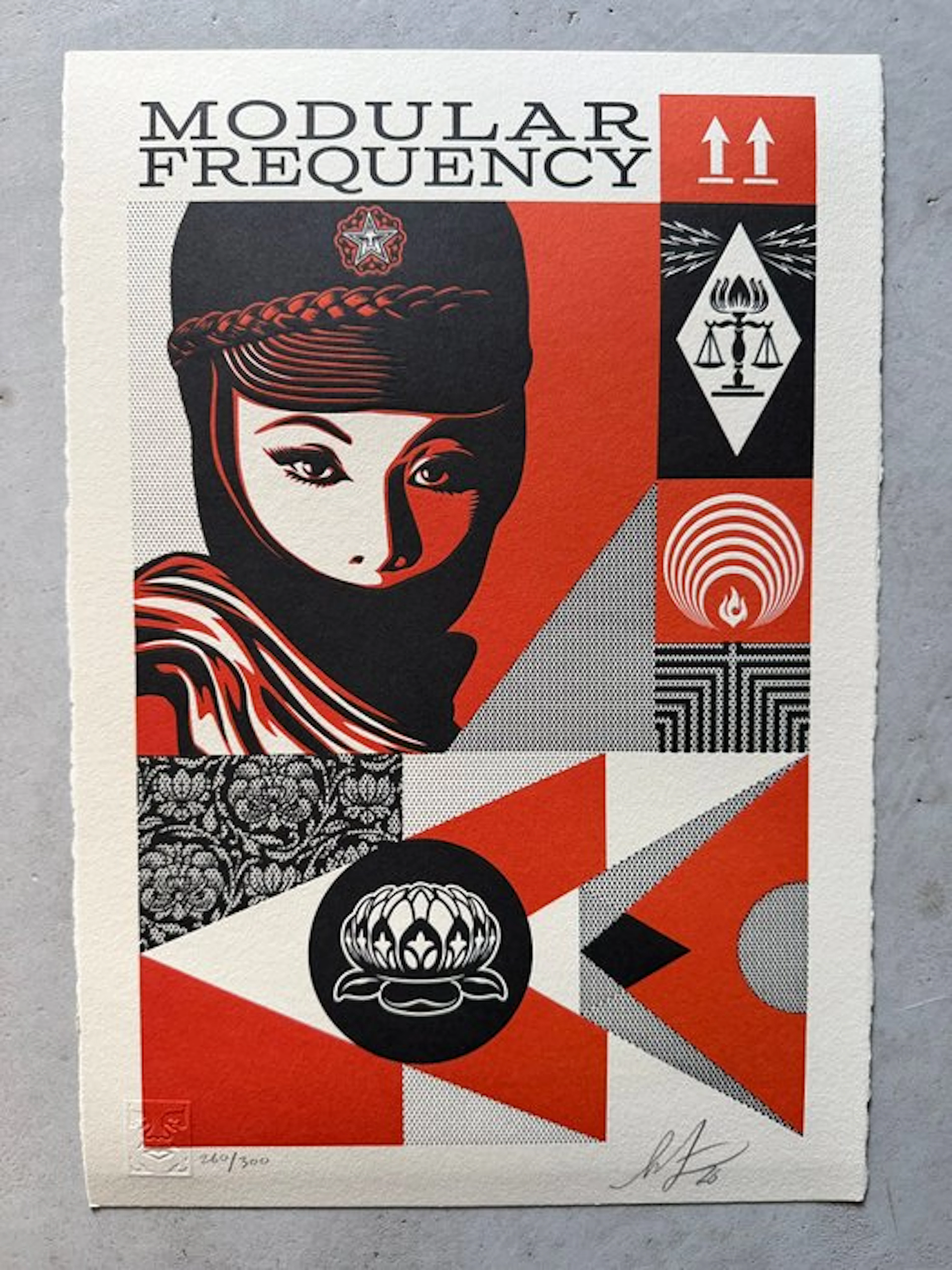 Shepard Fairey (OBEY) (1970) - Modular Frequency