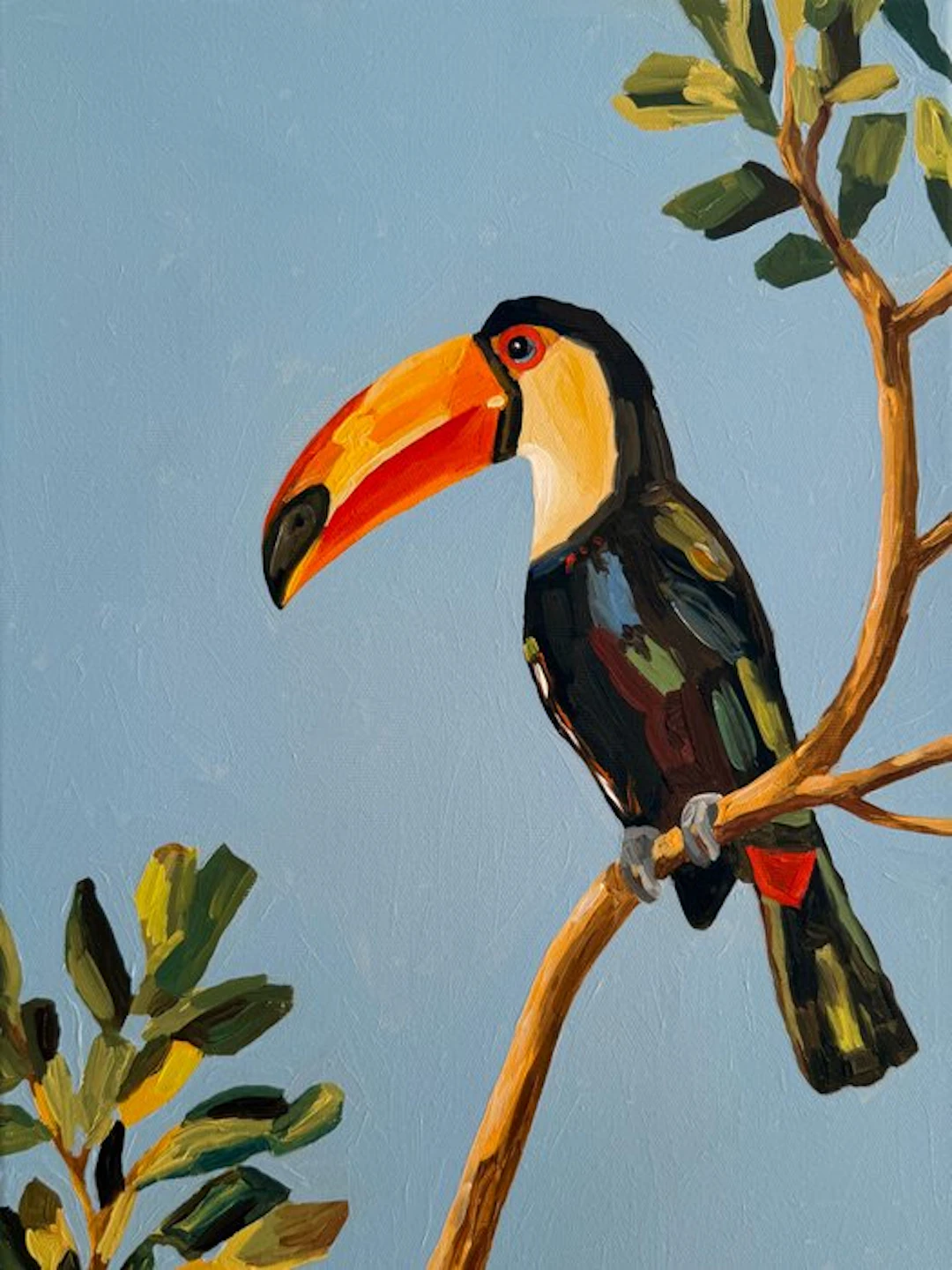 Cansu Rossi - Toucan in Blue - Oil Painting