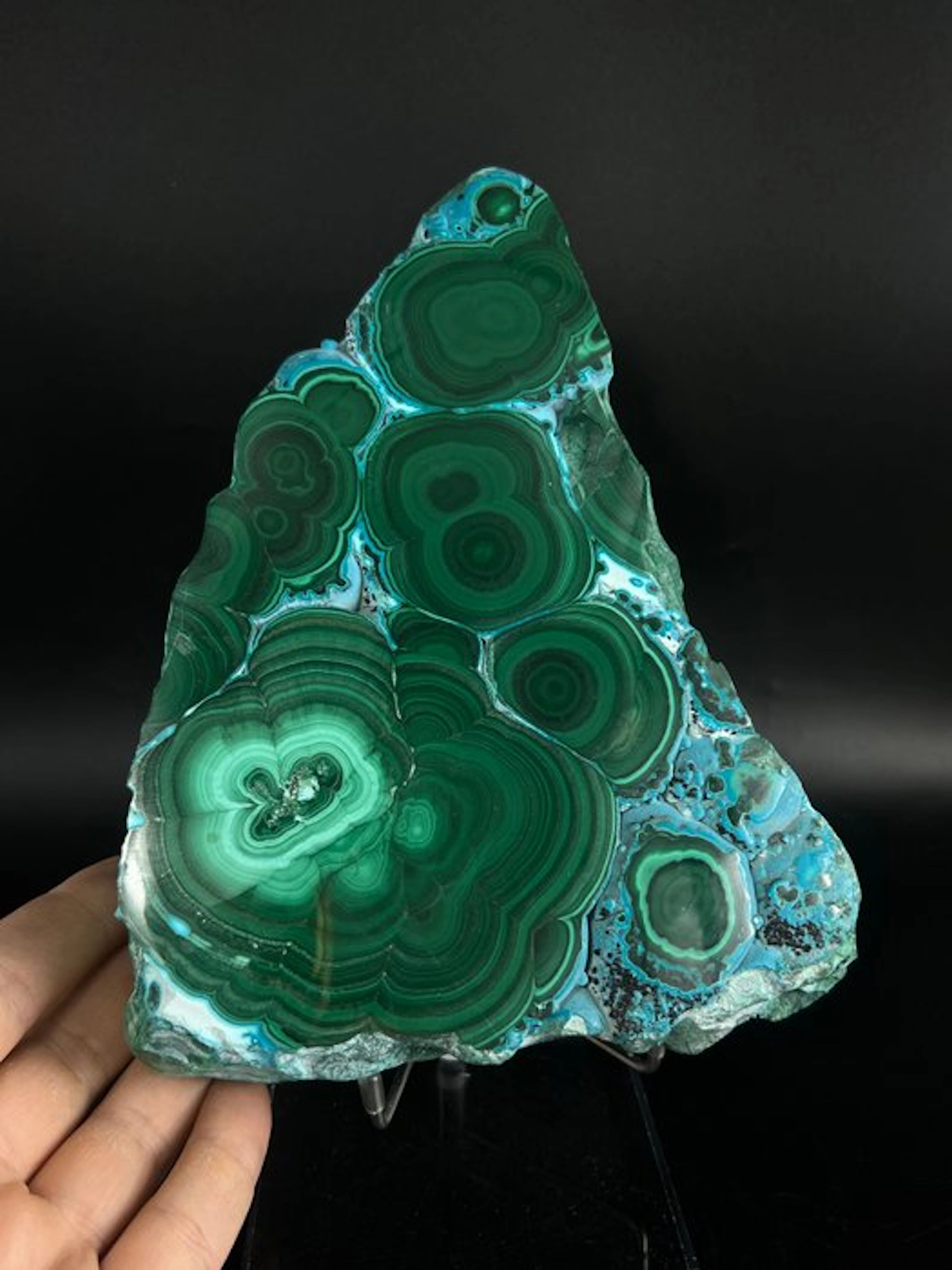 Rare Chrysocolla on Malachite Polished Slab – Collector’s...