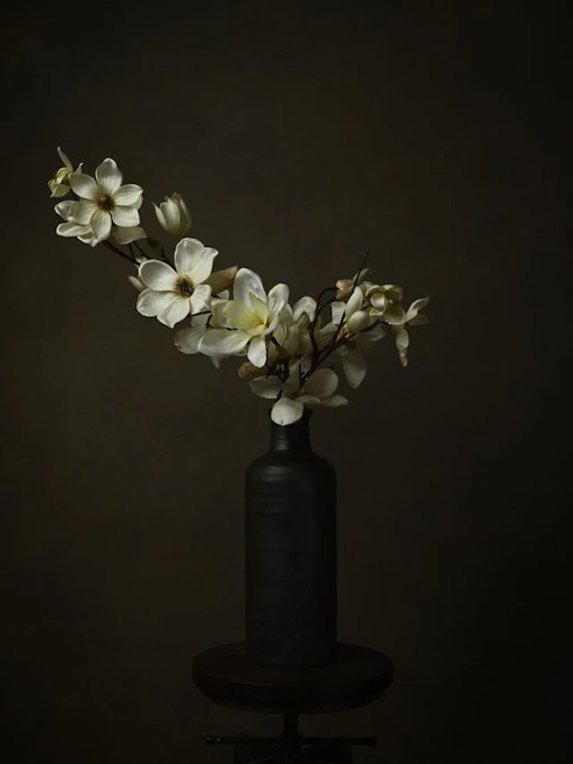 Brigite Buko - Blossom