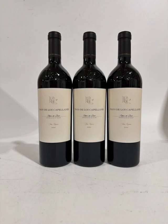 2022 Pago de los Capellanes - Ribera del Duero Reserva - 3 Bottles (0.75L)