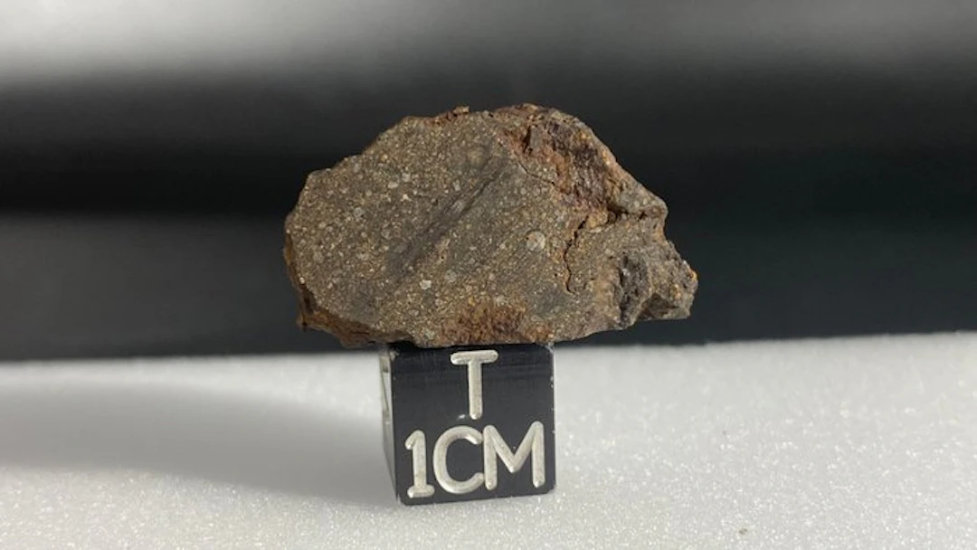 Carbonaceous chondrite (CO3)! No reserve price!! - 6.5 g - (1)