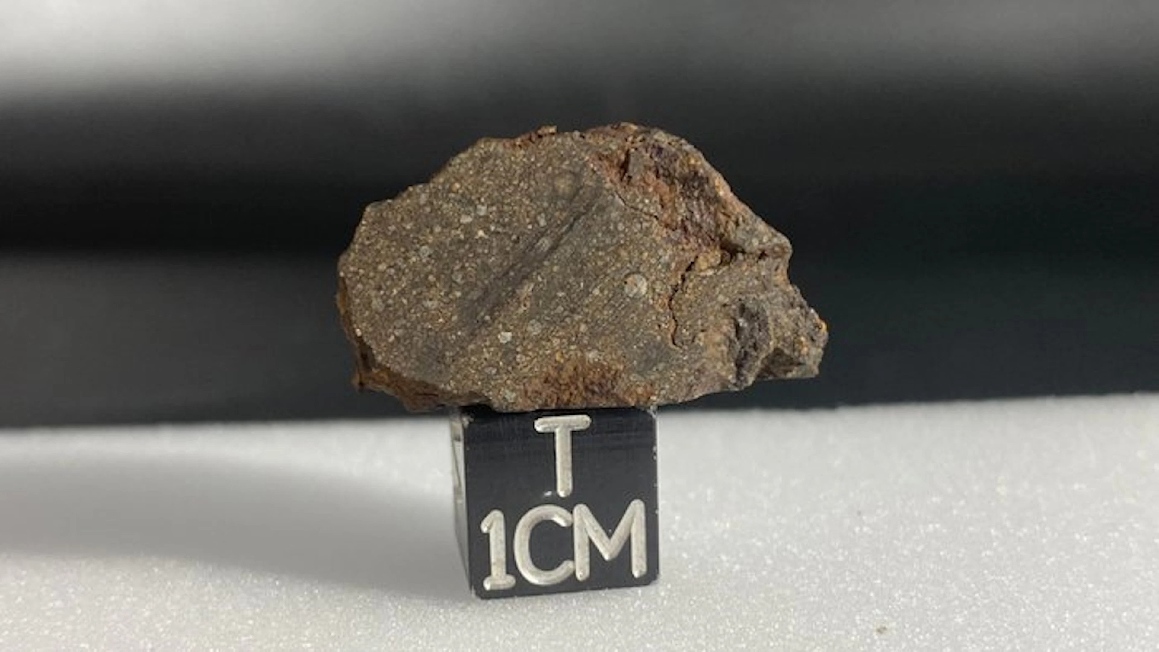 Carbonaceous chondrite (CO3)! No reserve price!! - 6.5 g - (1)