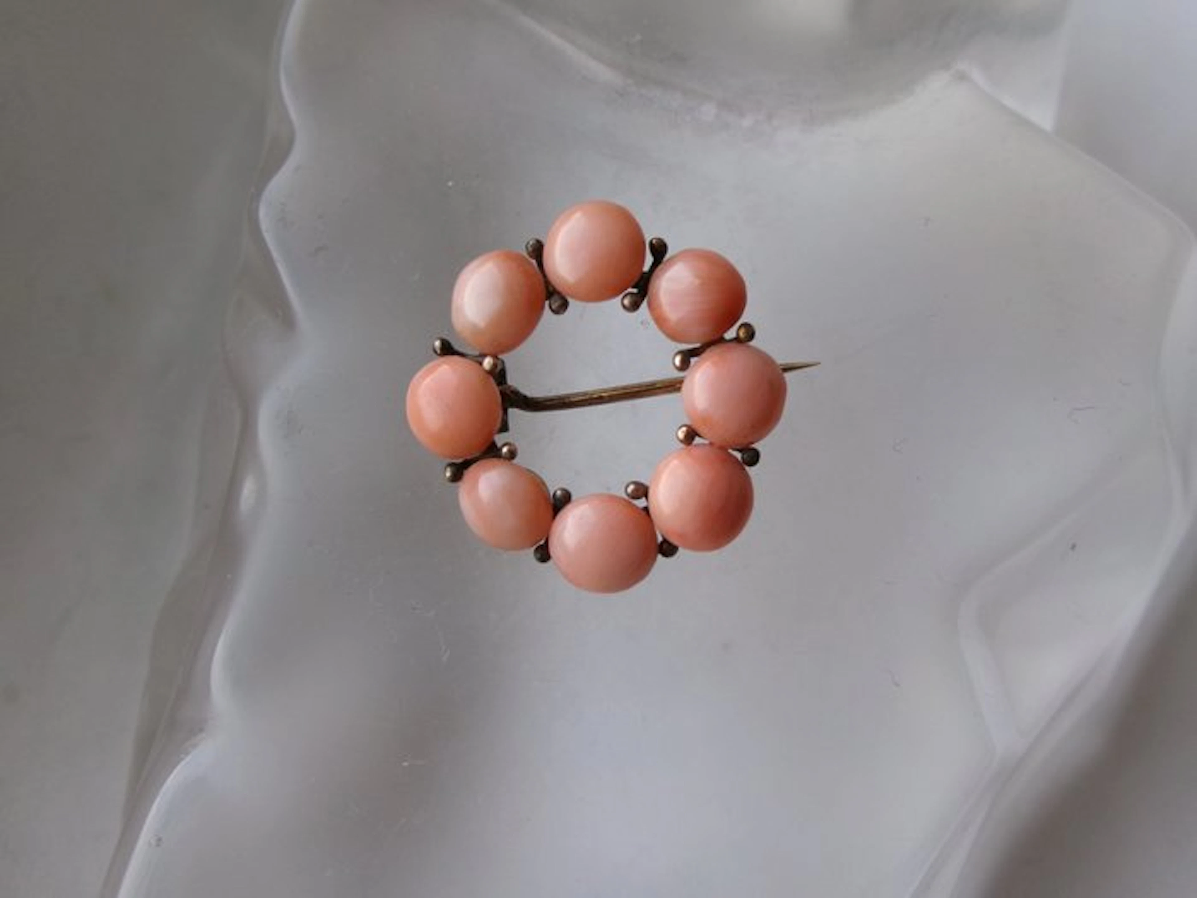 14 kt. - Coral, Yellow gold - Brooch - Art Nouveau