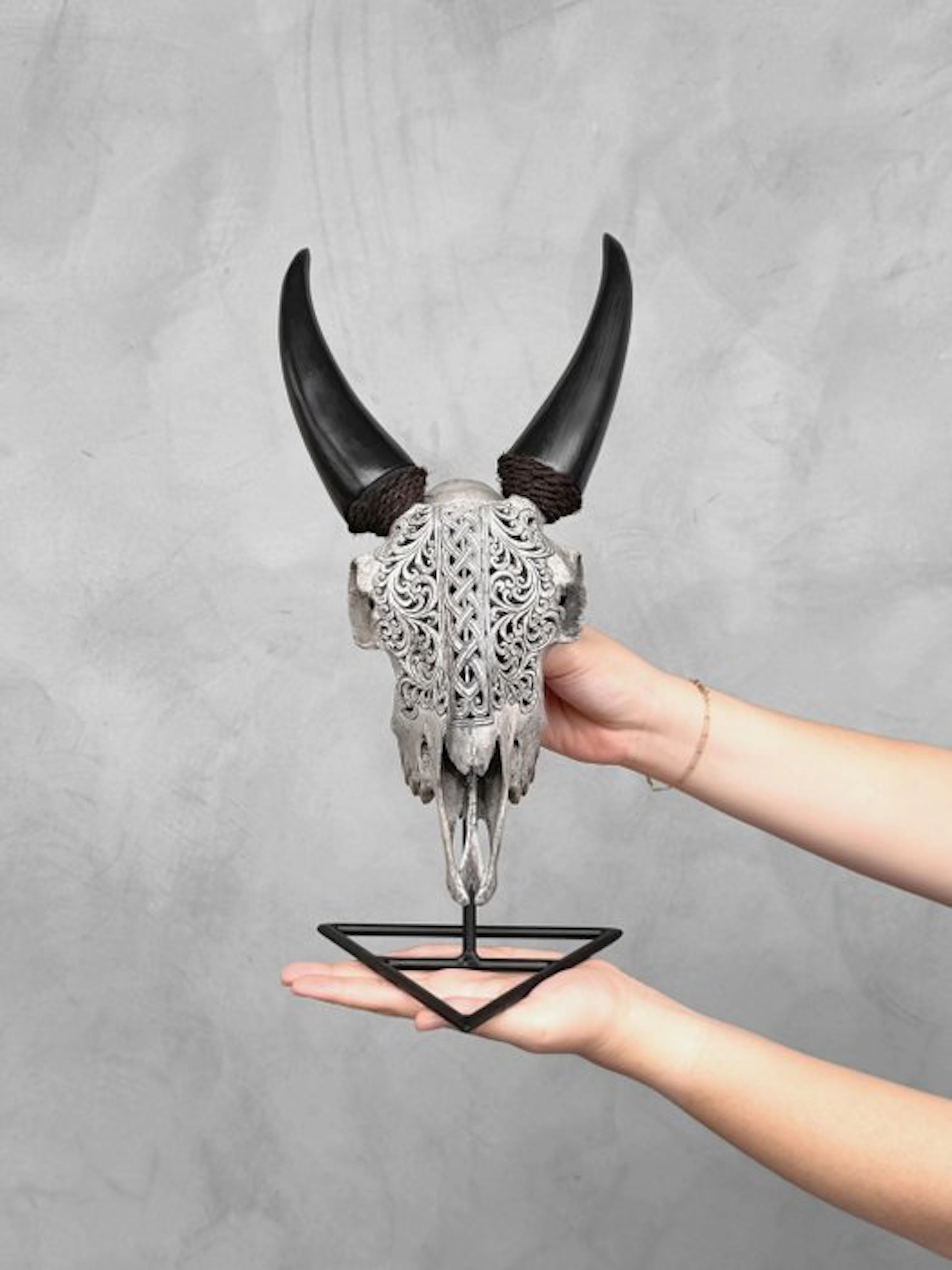NO RESERVE PRICE - Authentic Grey Carved Goat Skull on a...