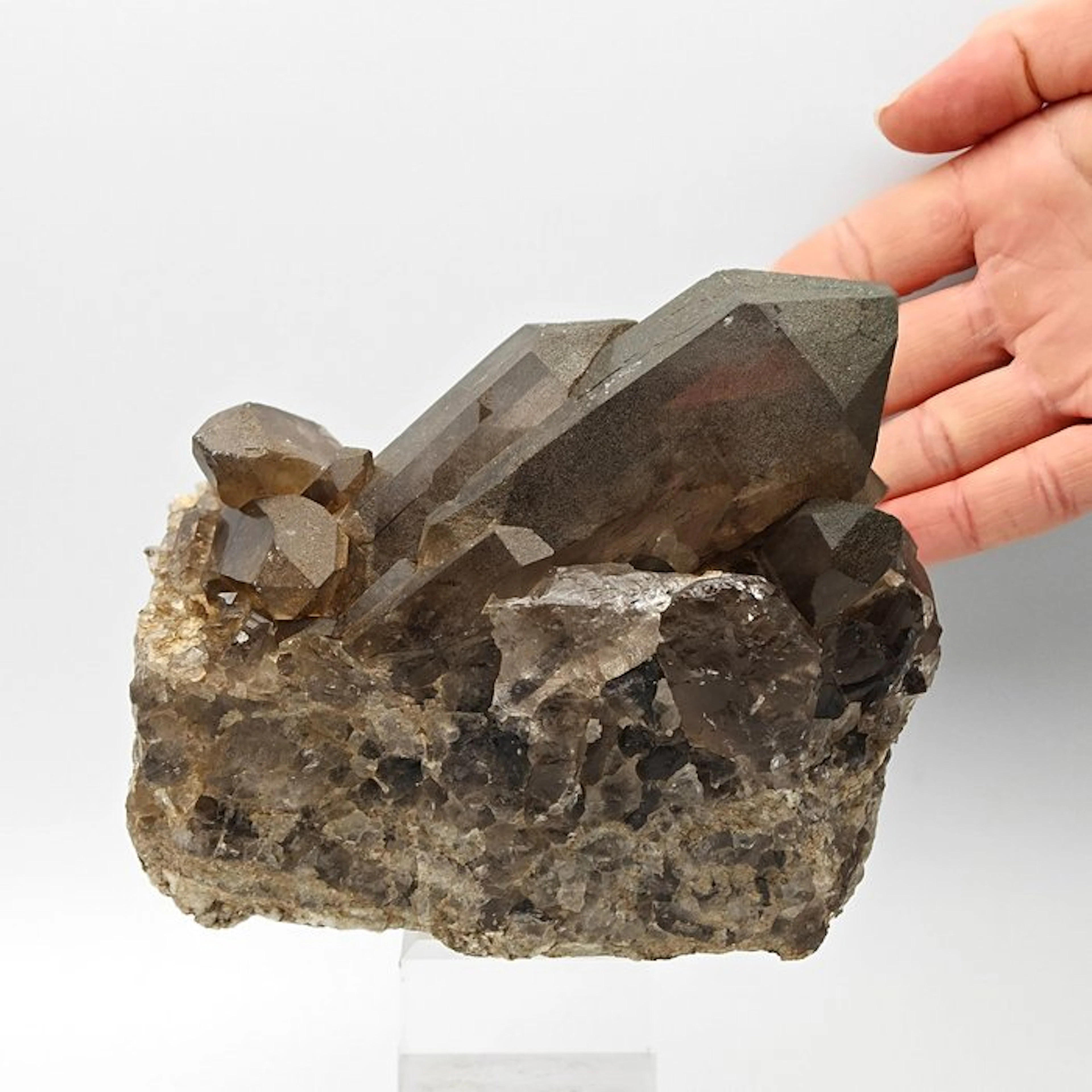 ALPINO, LARGE SMOKY QUARTZ