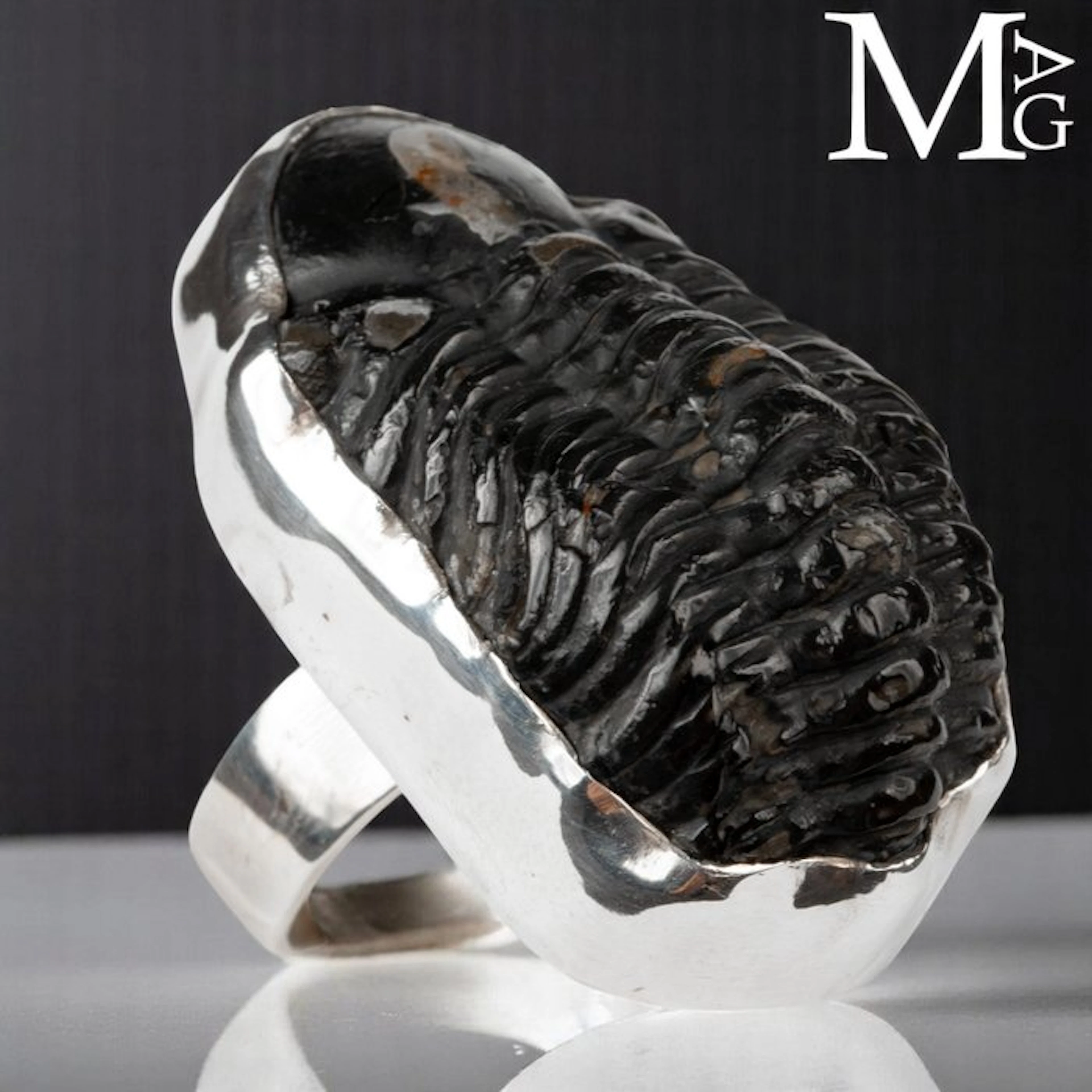 Fossil Trilobite Phacopid Specimen Casting in Silver 925...