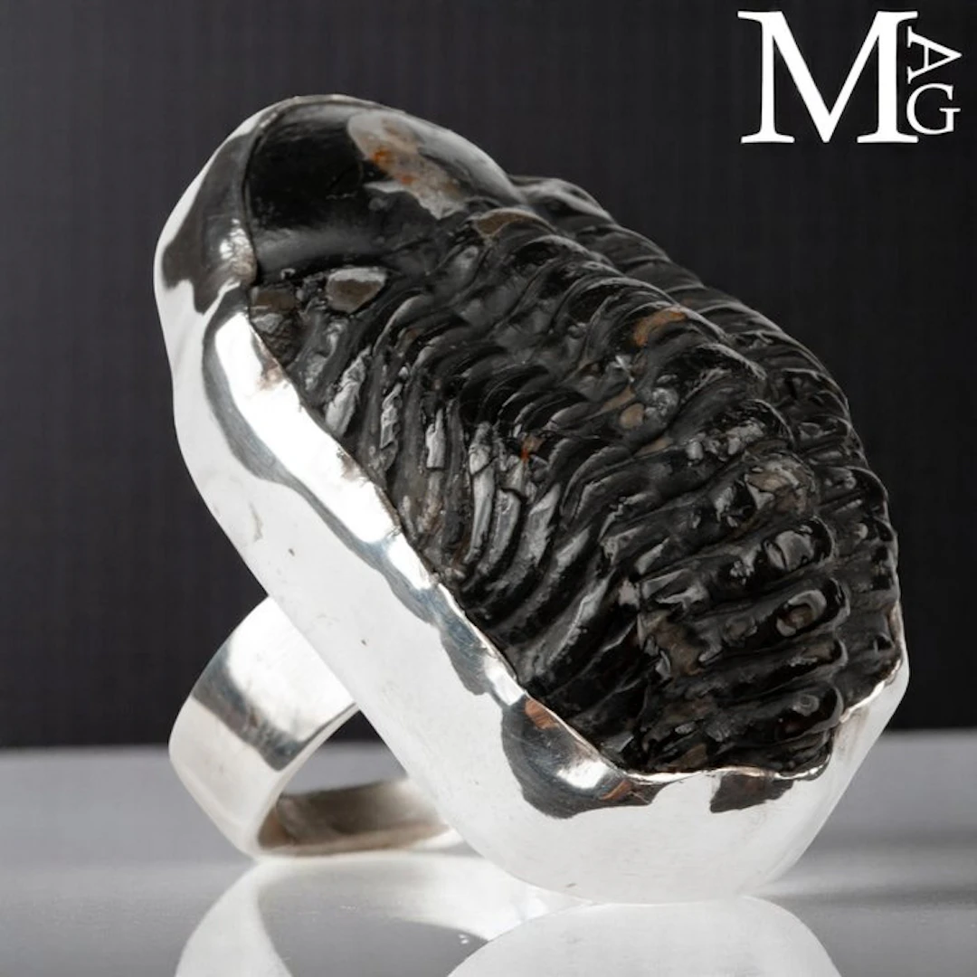 Fossil Trilobite Phacopid Specimen Casting in Silver 925...