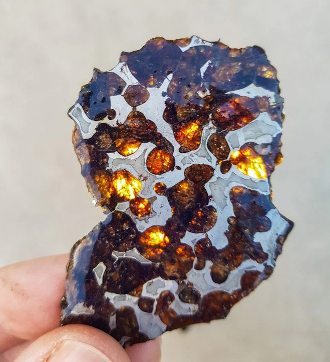 Pallasite HQ Sericho pallasite - Height: 7.5 cm - Width: 4.5 cm - 22.4 g