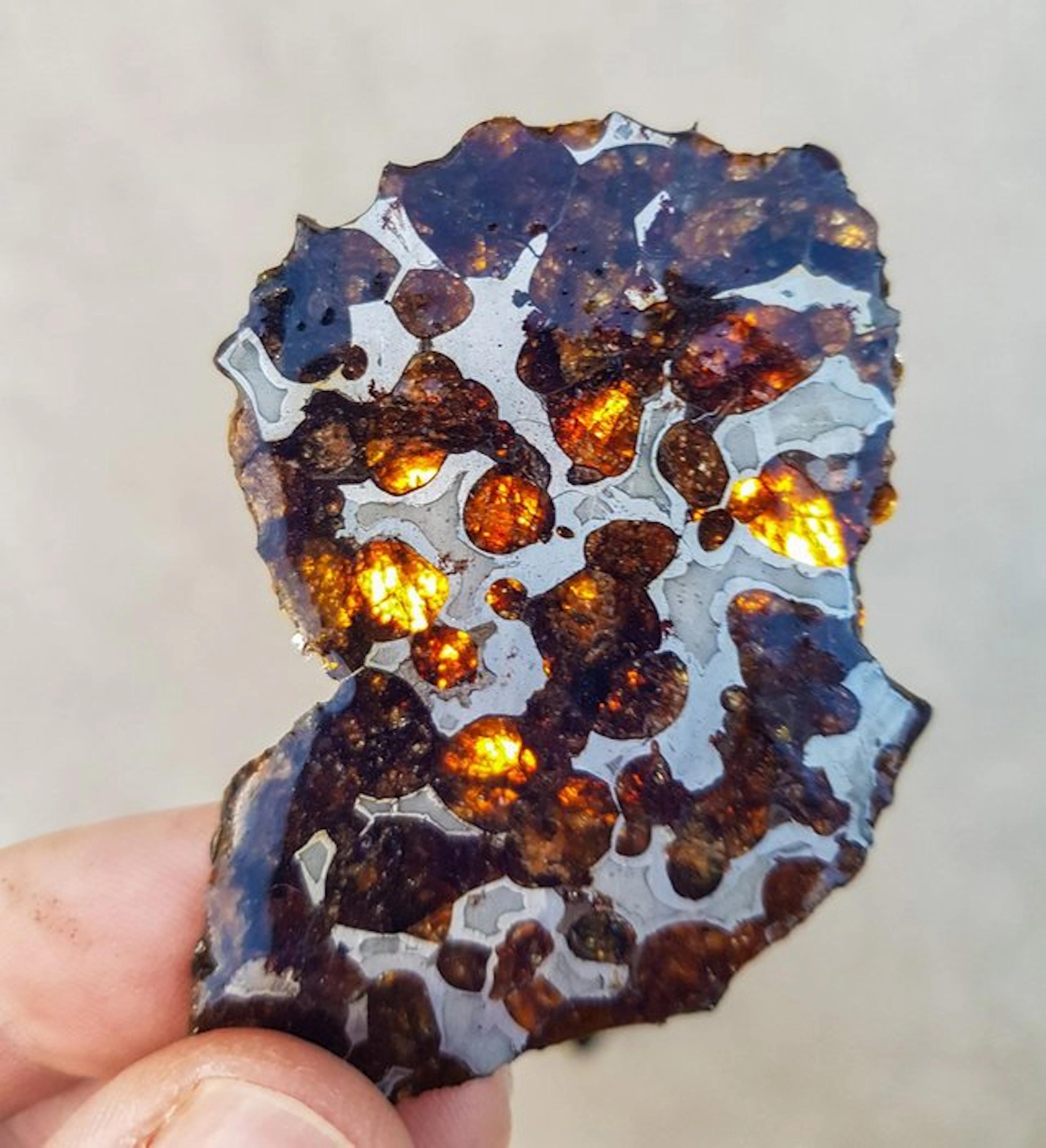 Pallasite HQ Sericho pallasite - Height: 7.5 cm - Width: 4.5 cm - 22.4 g