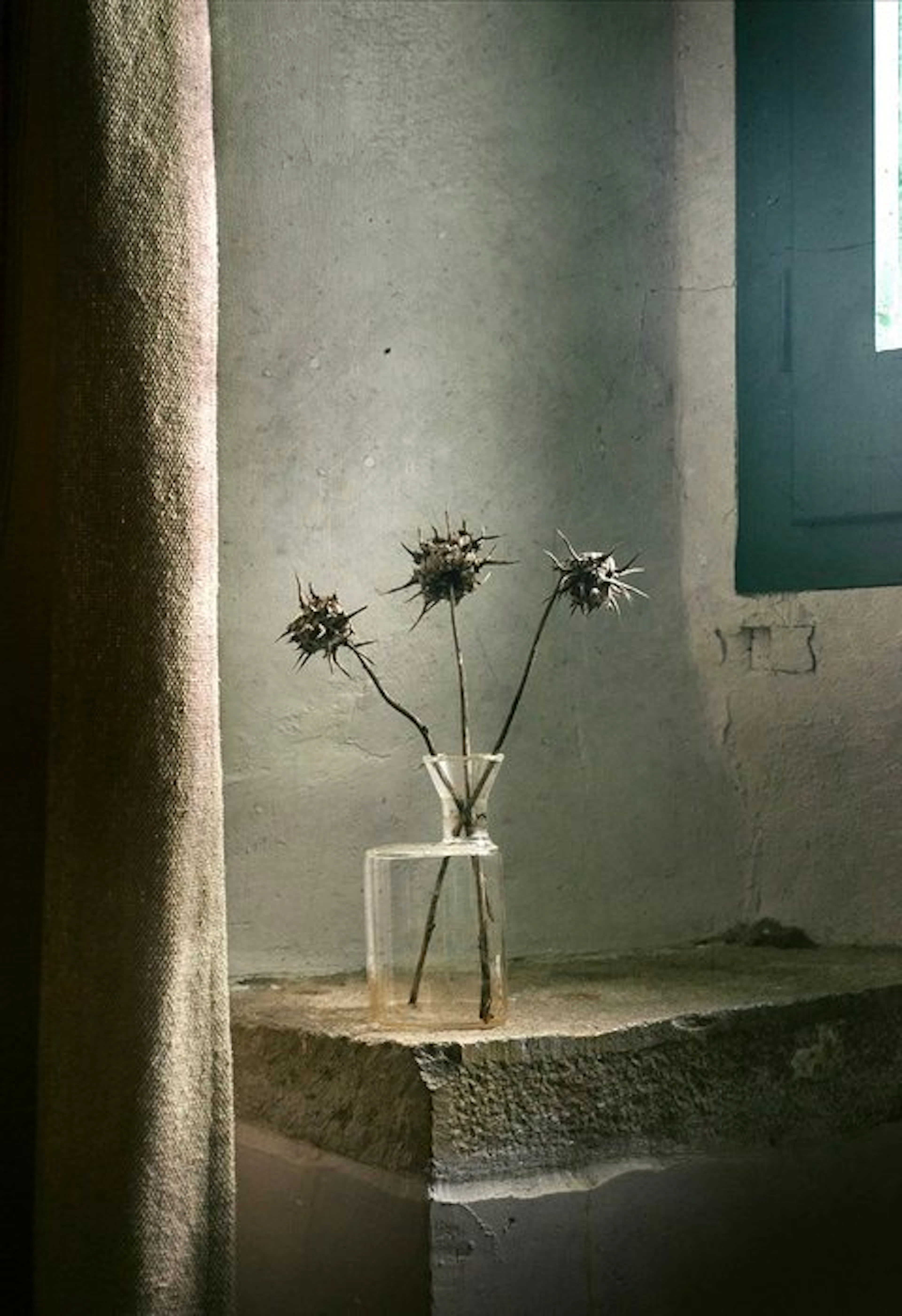 Tessa Posthuma de Boer - Windowsill