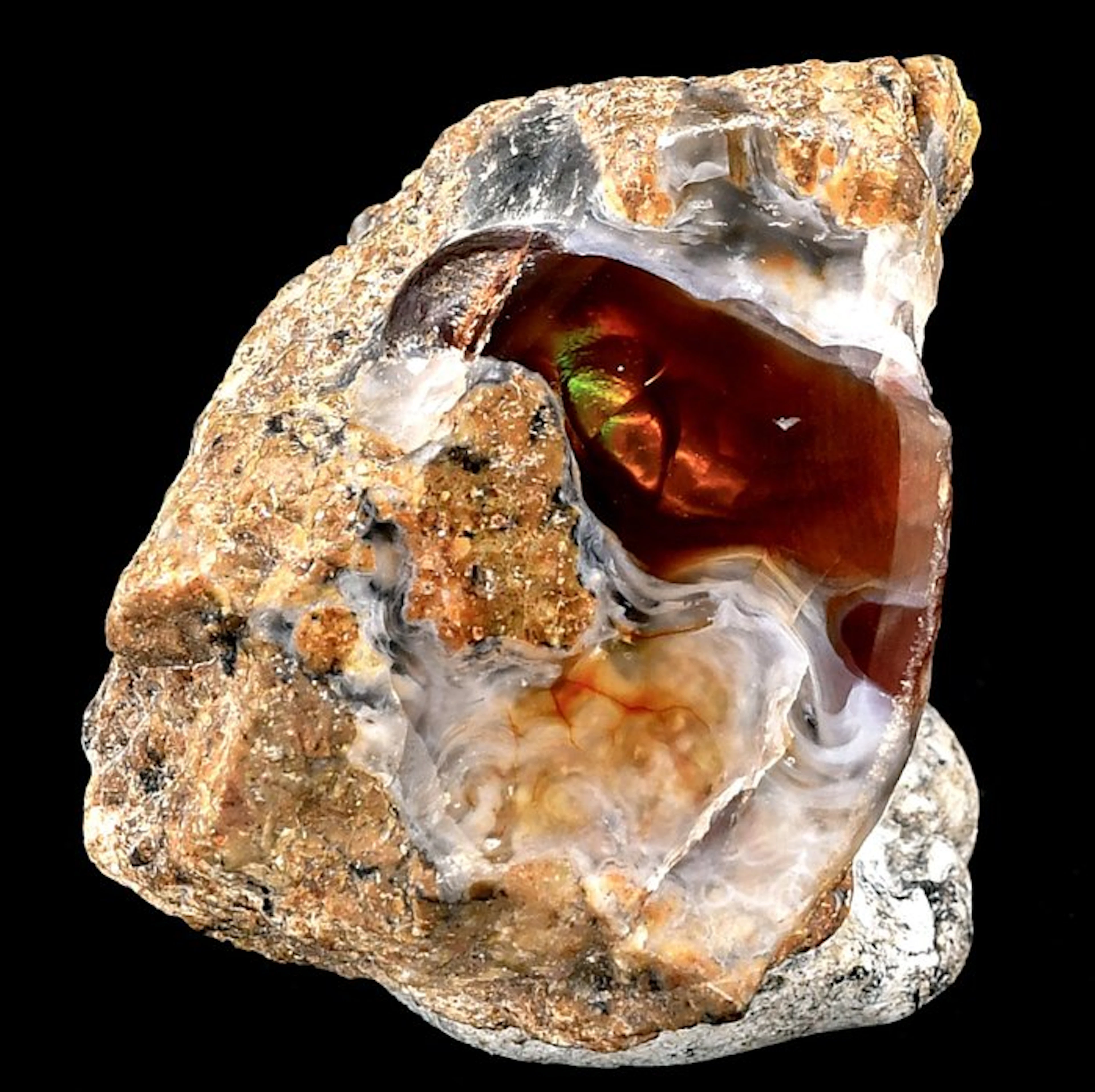 High-quality opalized agate from Australia - Height: 4.3...