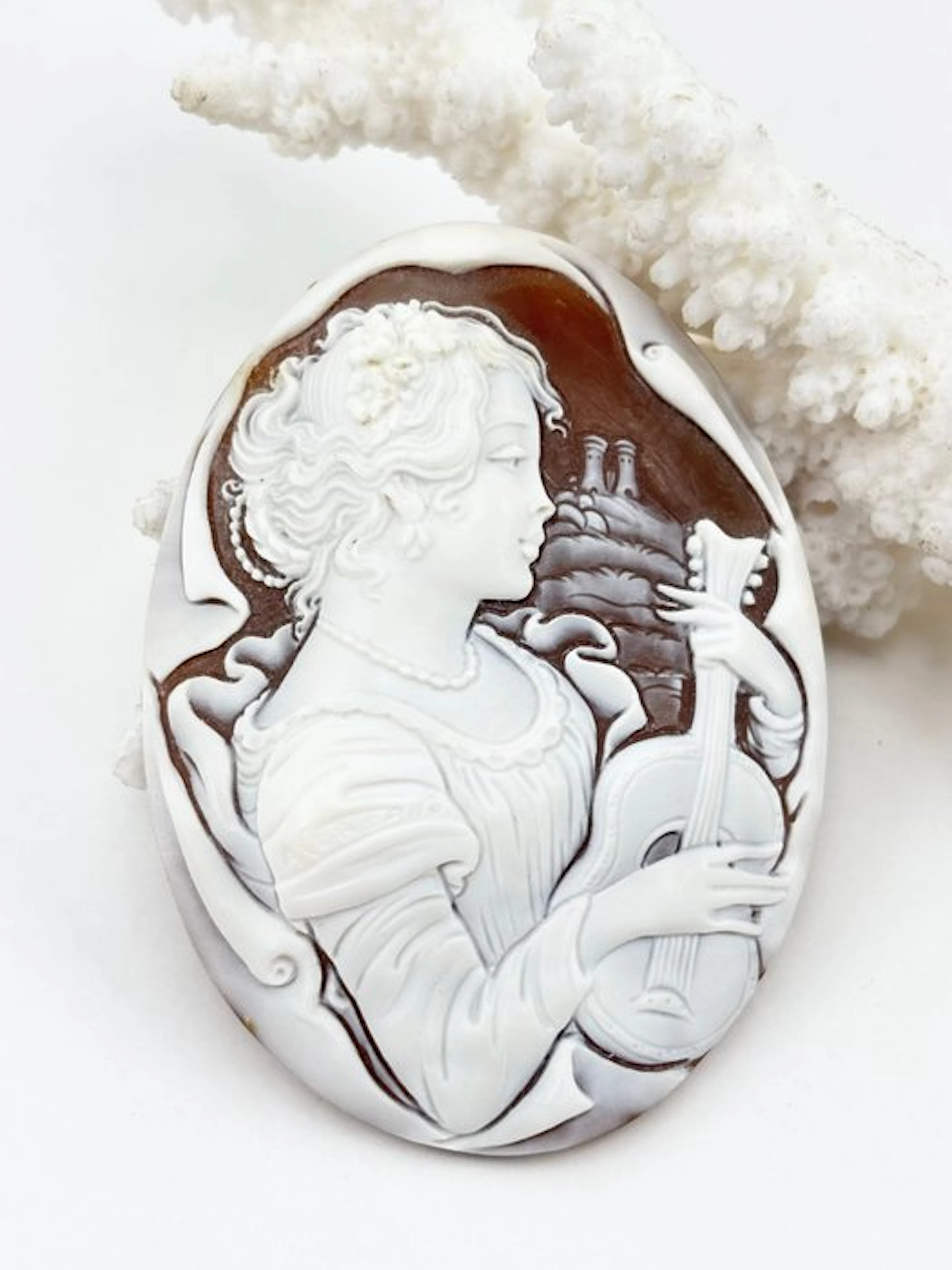 Cassis madagascariensis - Cameo - Hand-engraved cameo