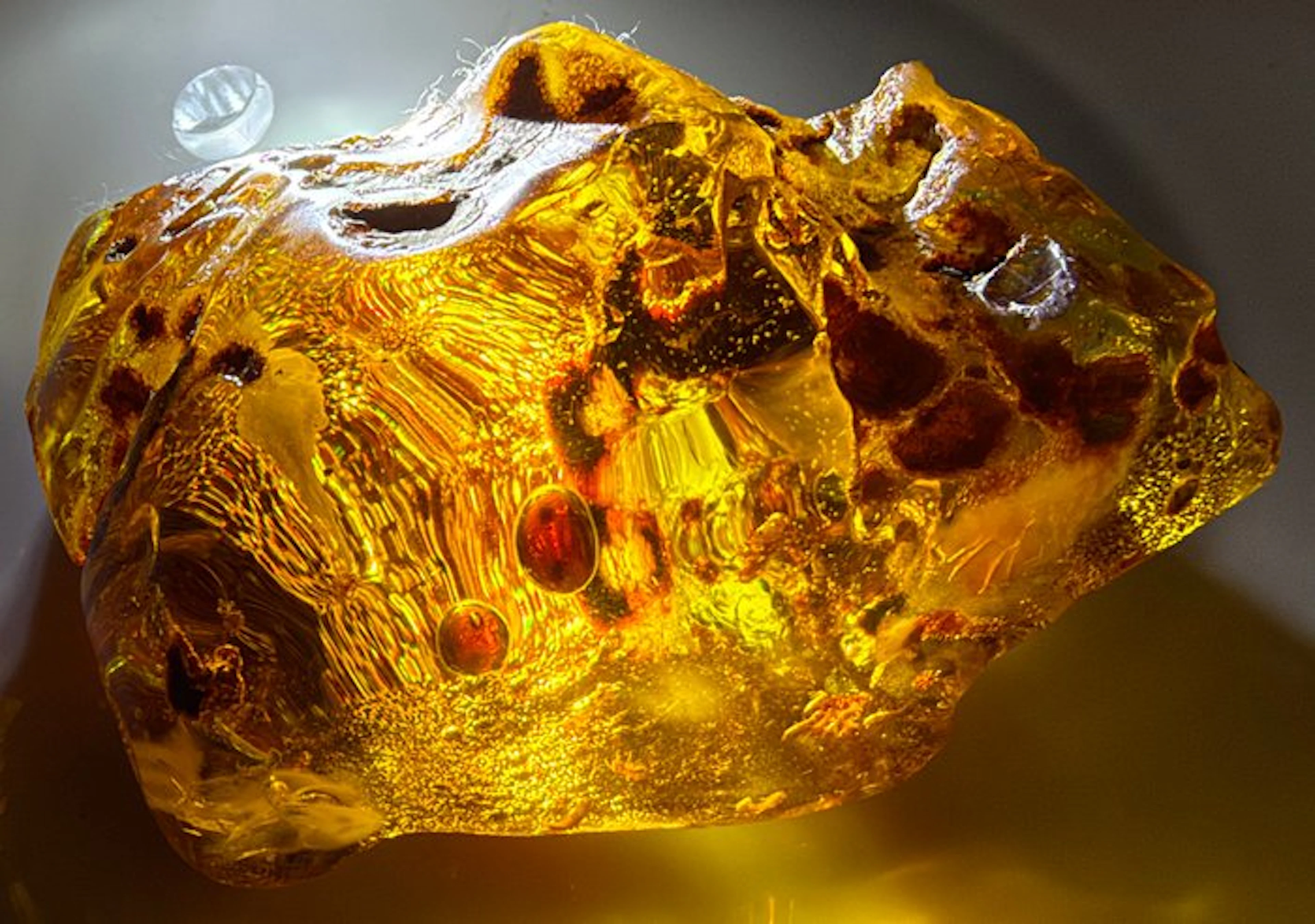 FOSSlL- MUSEUM QUALITY!-Dominican Amber-Water Drops- 287 g