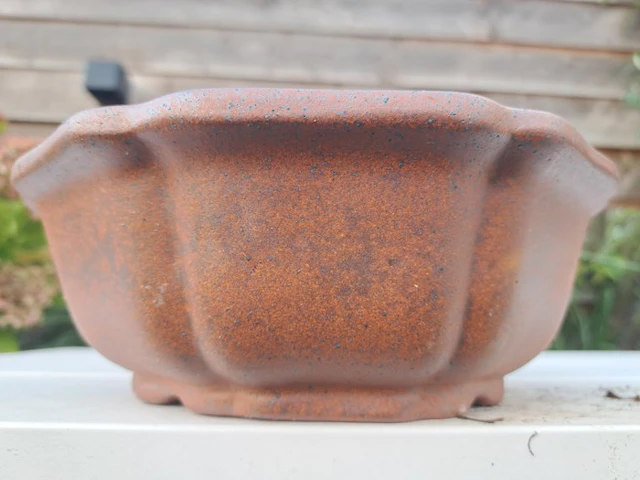 Bonsai dish - 23.5 x 23.5 x 8.5 cm - Height (Tree): 0 cm...