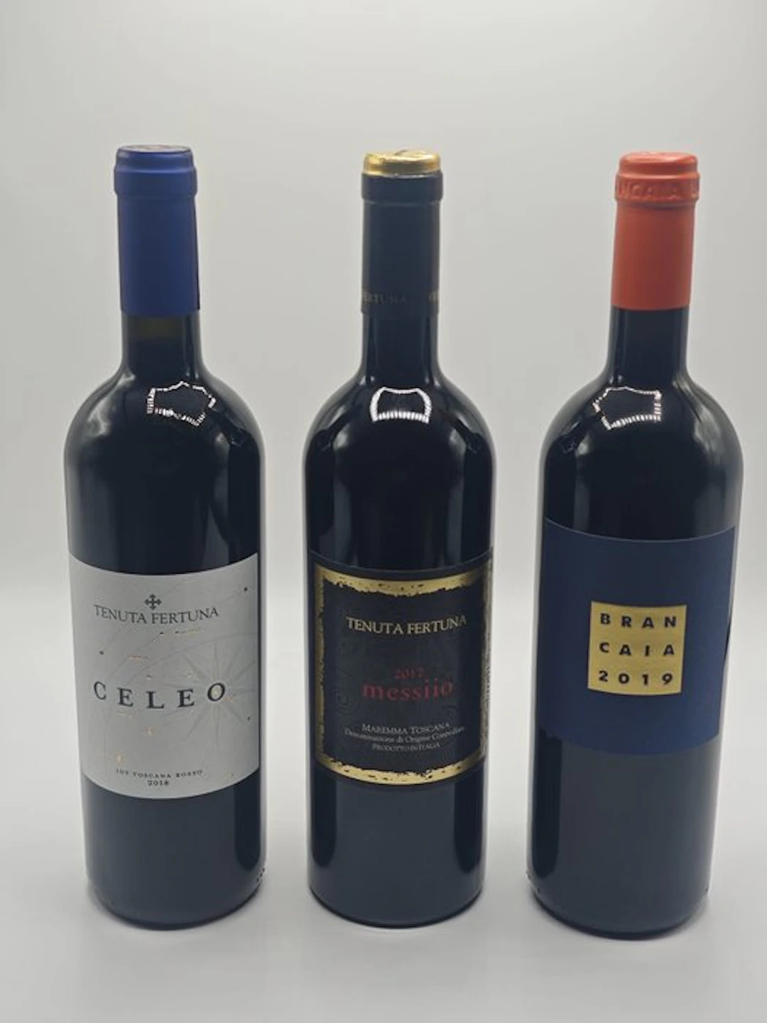 Tenuta Fertuna: Brancaia 2019