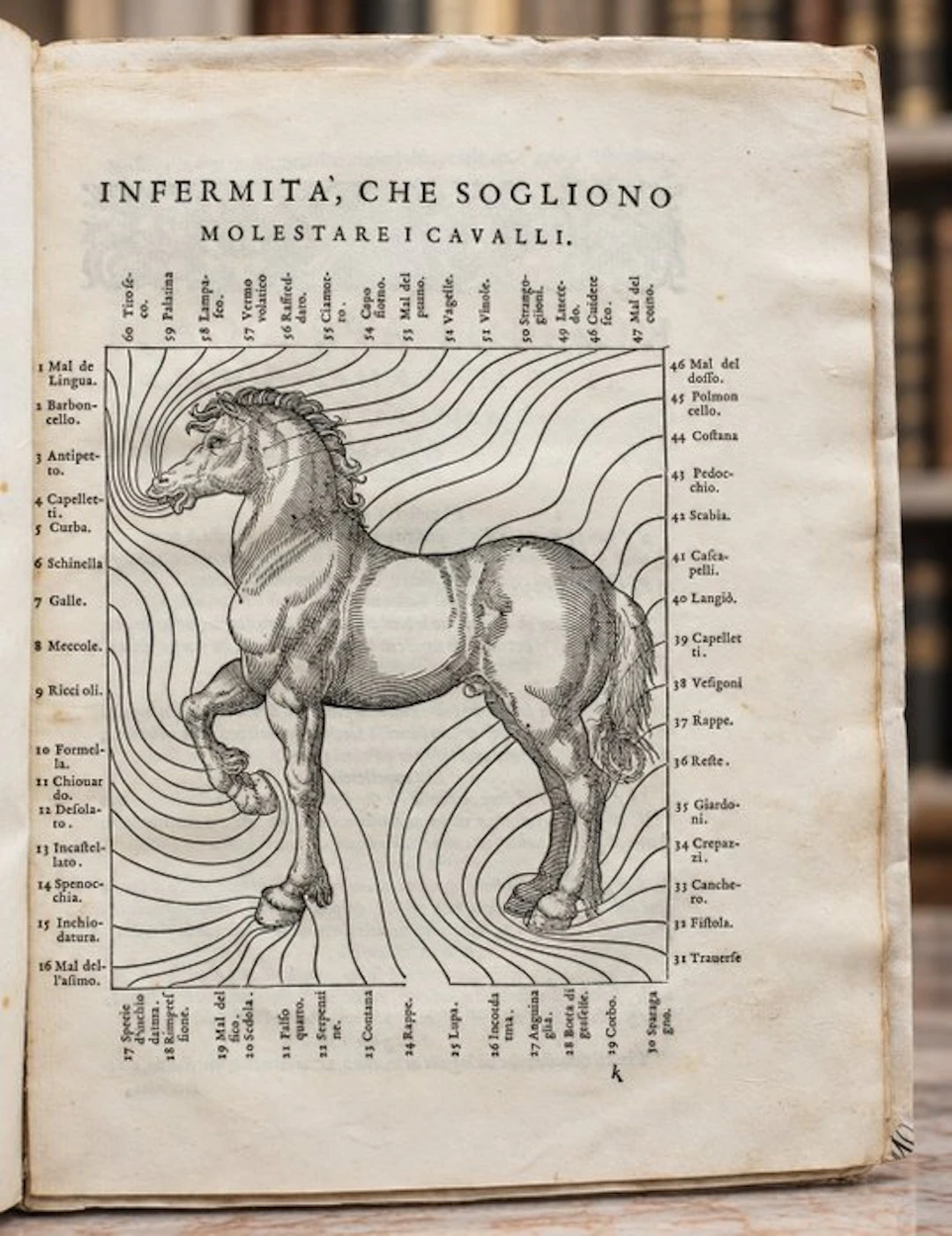 Grisone - Ordini di Cavalcare [Bound w:] Infermità de’ Cavalli - 1590