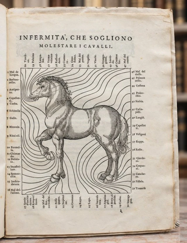 Grisone - Ordini di Cavalcare [Bound w:] Infermità de’ Cavalli - 1590