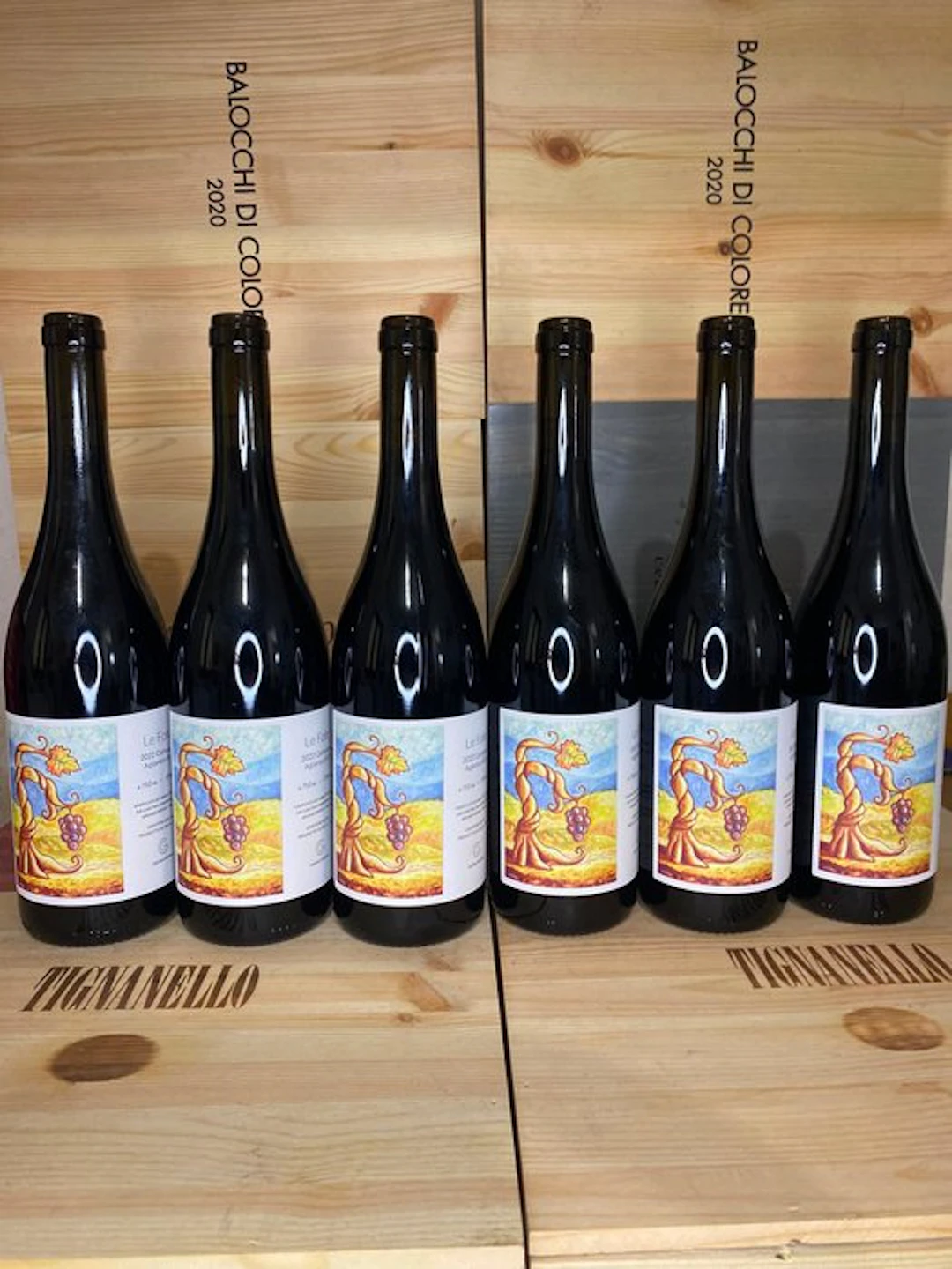 2022 Cantina Giardino, Le Fole - Campania - 6 Bottles (0.75L)