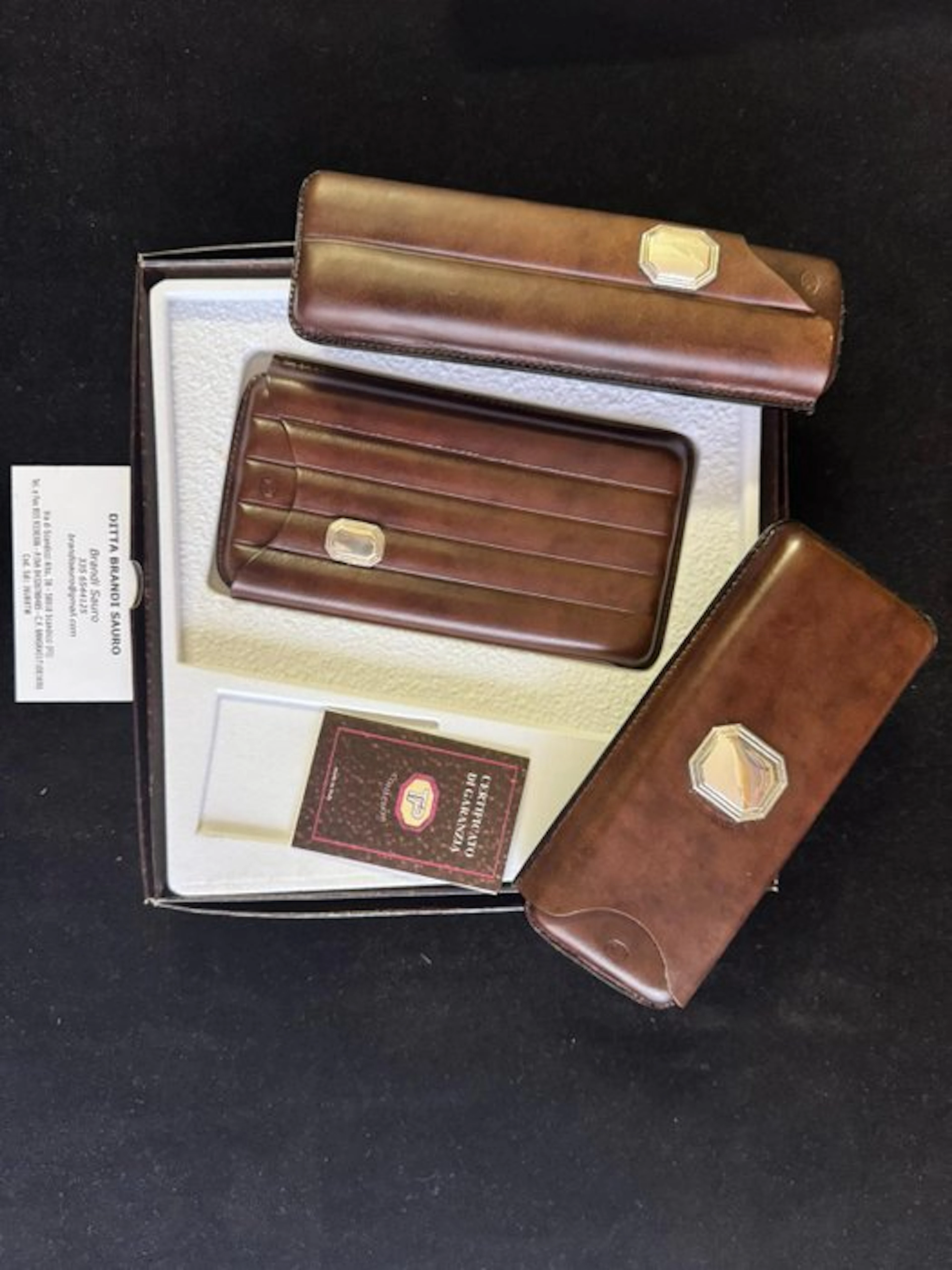 brandi sauro - TP paglicci - No reserve price - Cigar...