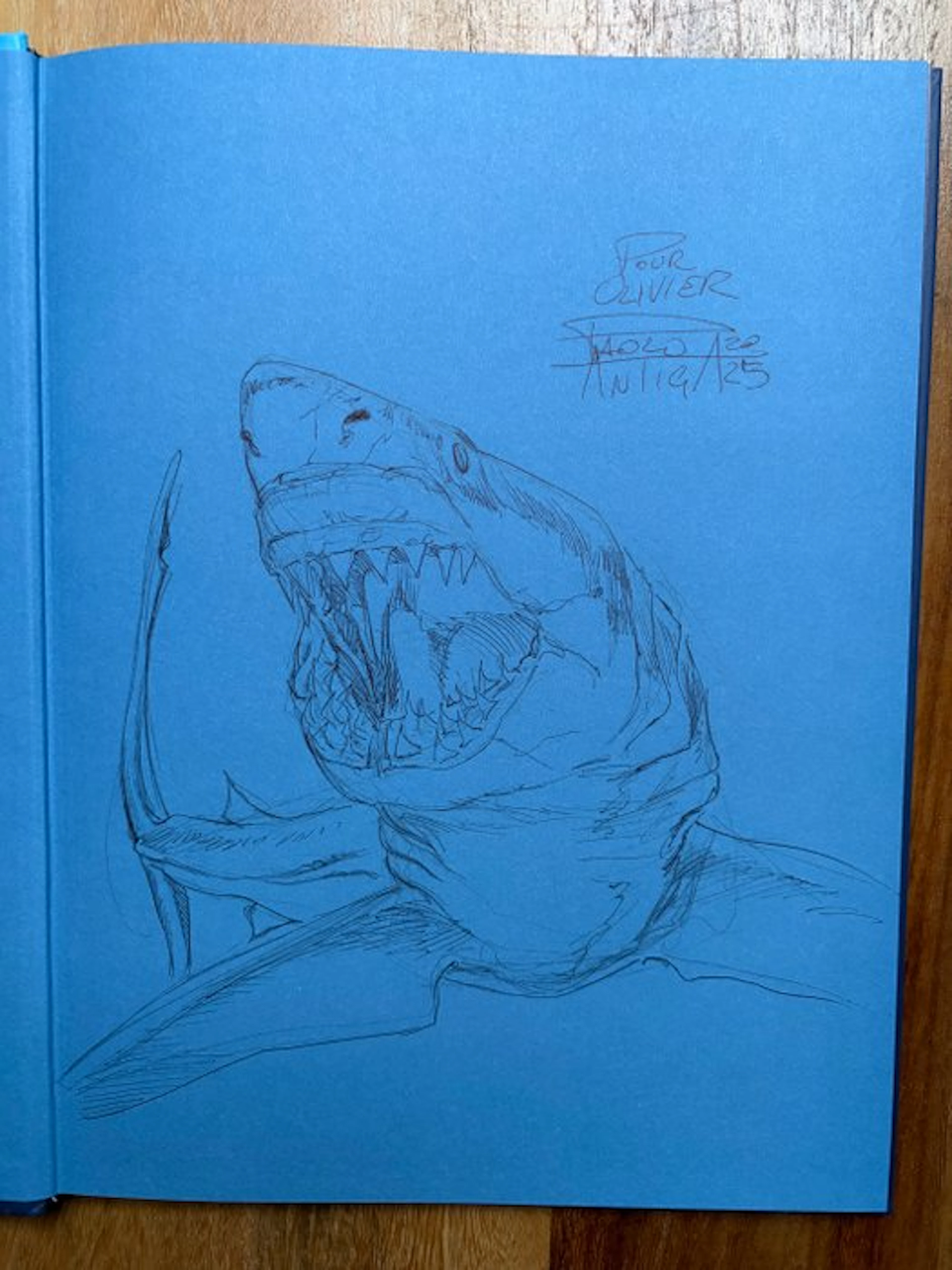 Megalodon + dédicace - C - 1 Album - First edition - 2023
